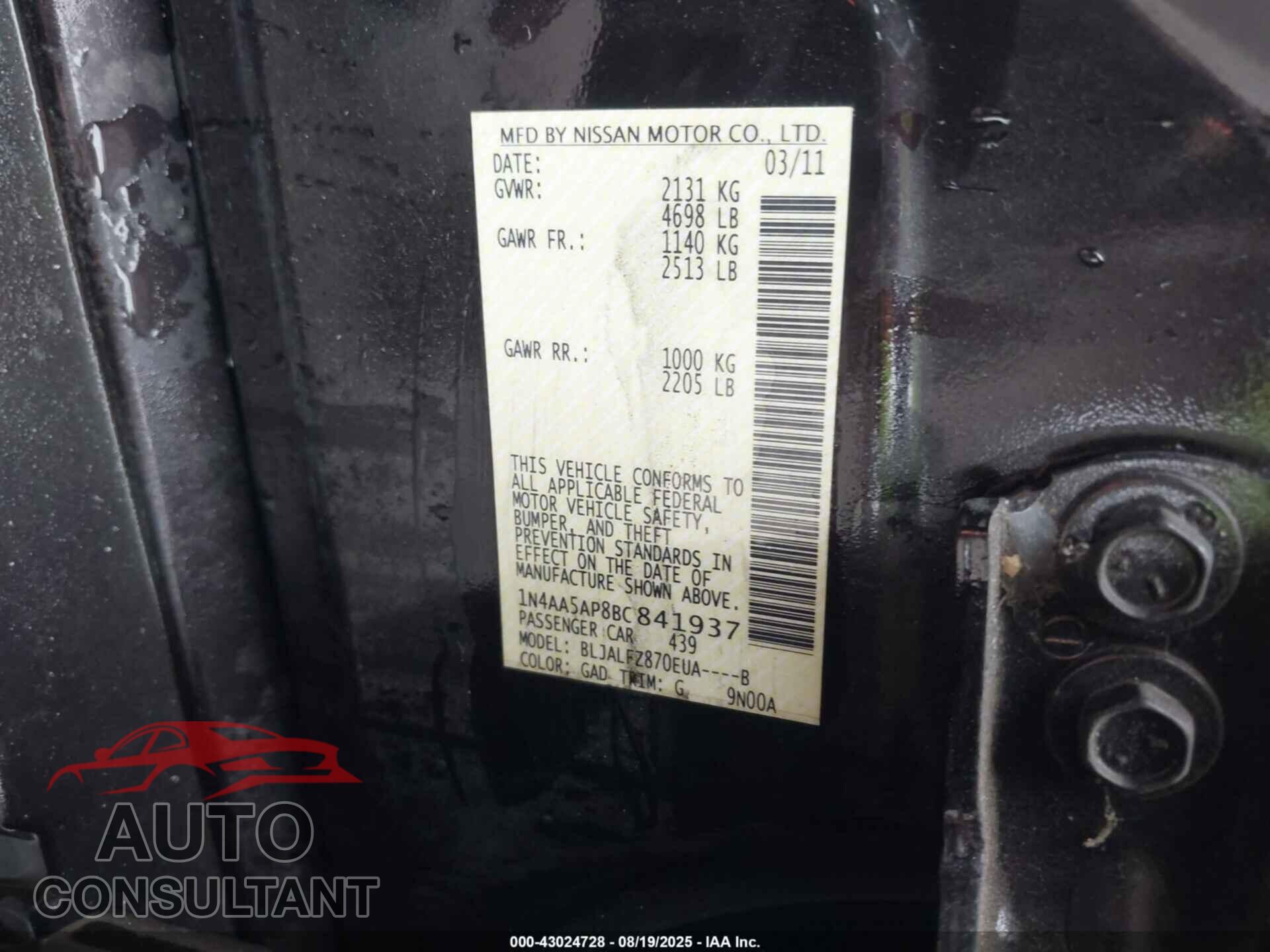 NISSAN MAXIMA 2011 - 1N4AA5AP8BC841937