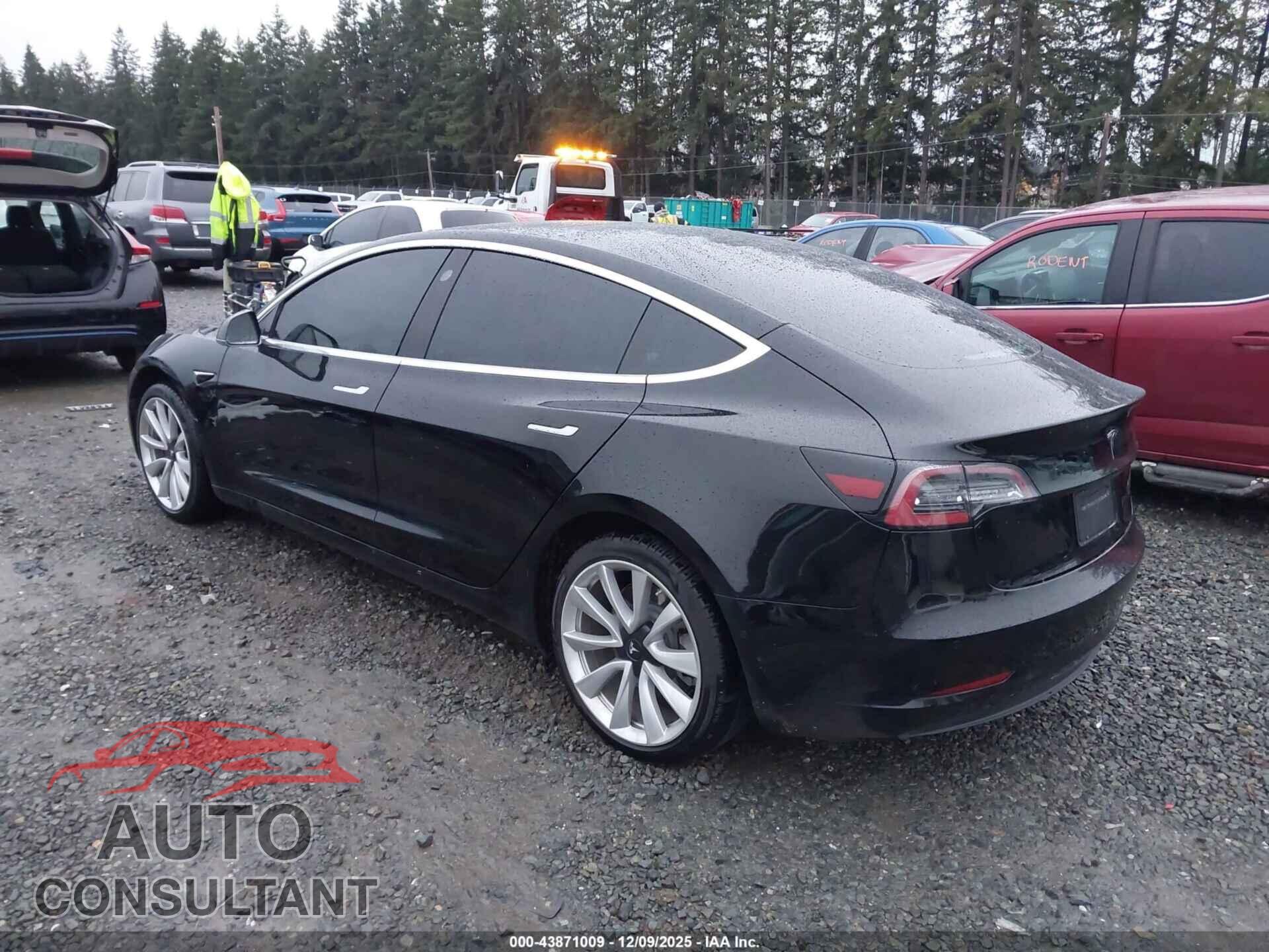 TESLA MODEL 3 2019 - 5YJ3E1EA6KF446566