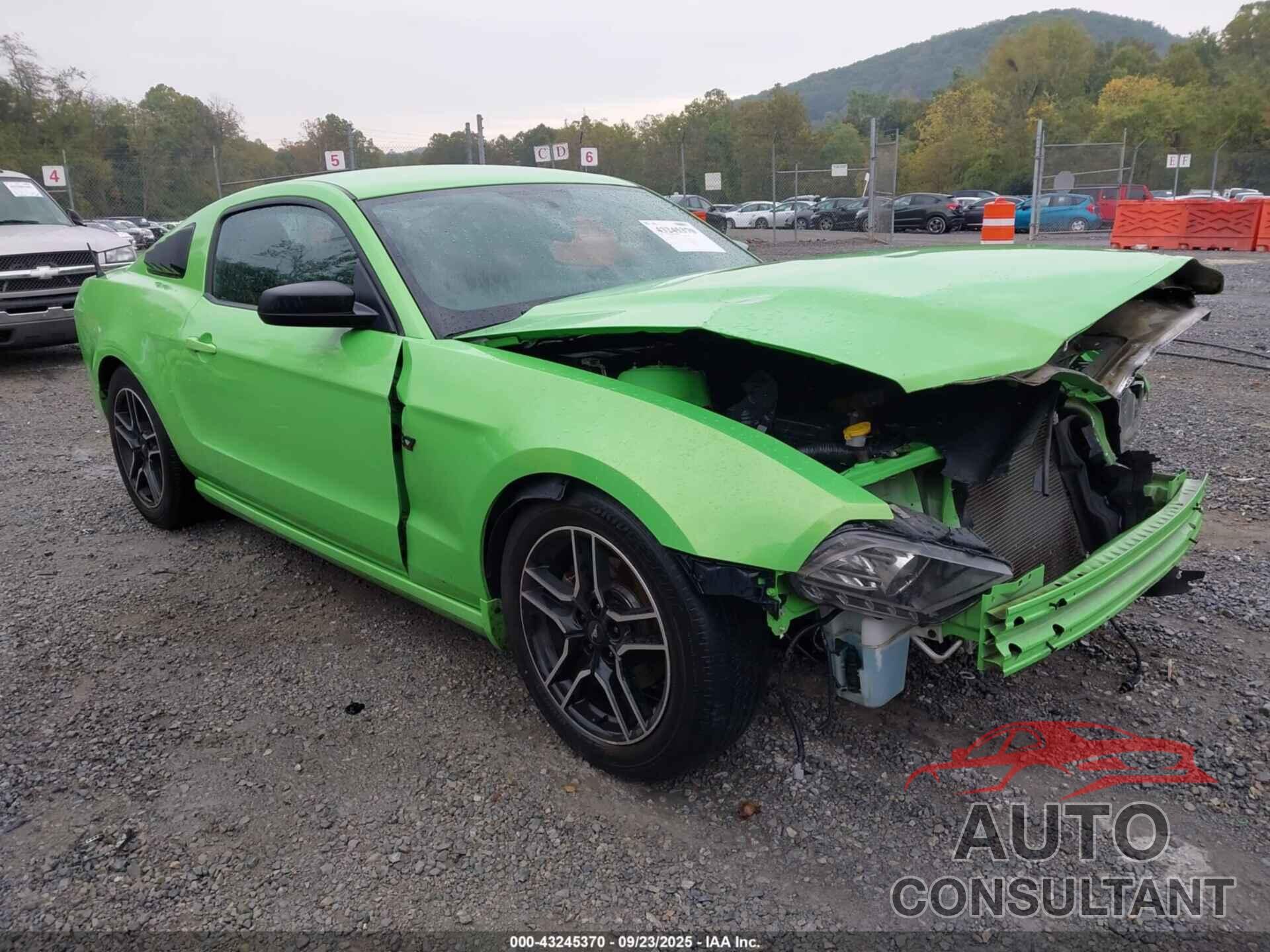 FORD MUSTANG 2013 - 1ZVBP8AM2D5278618