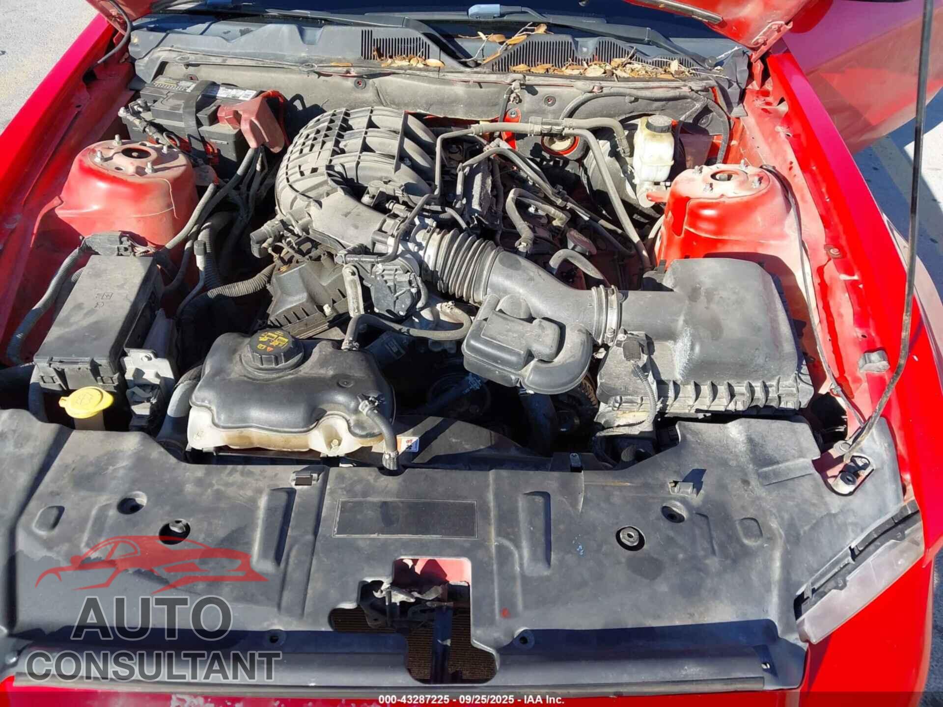 FORD MUSTANG 2013 - 1ZVBP8AM3D5274819