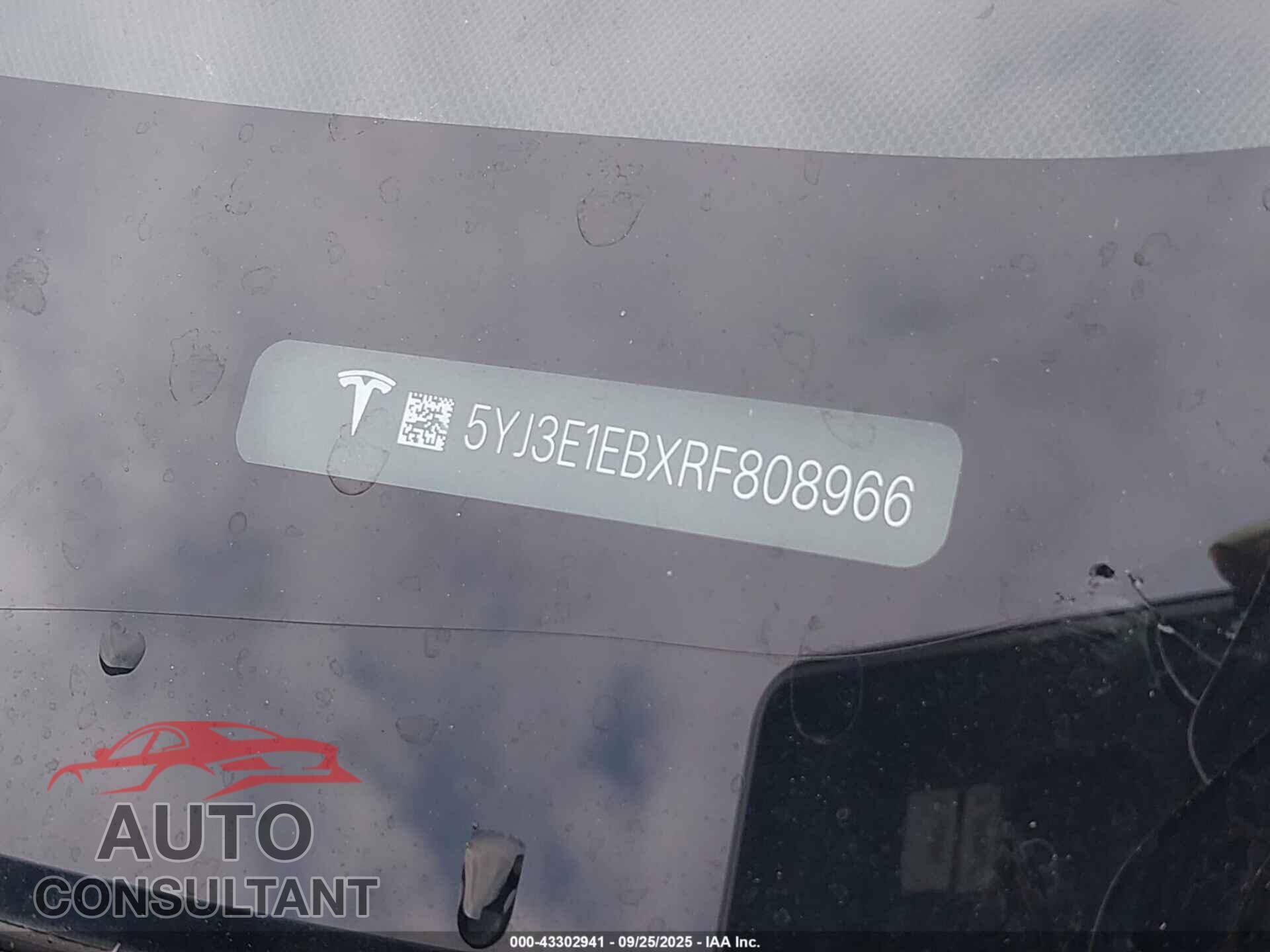 TESLA MODEL 3 2024 - 5YJ3E1EBXRF808966
