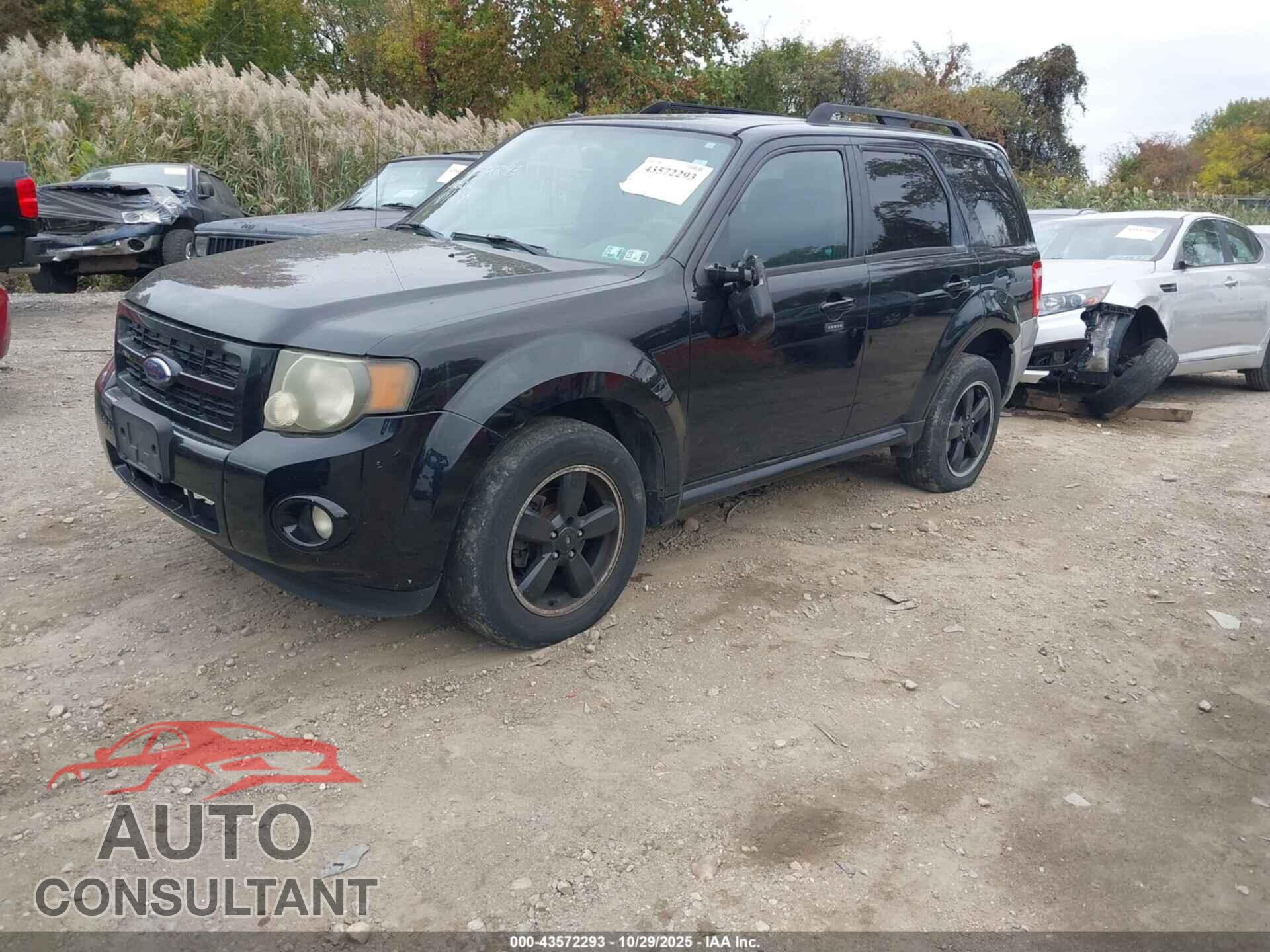 FORD ESCAPE 2009 - 1FMCU93G89KB86706