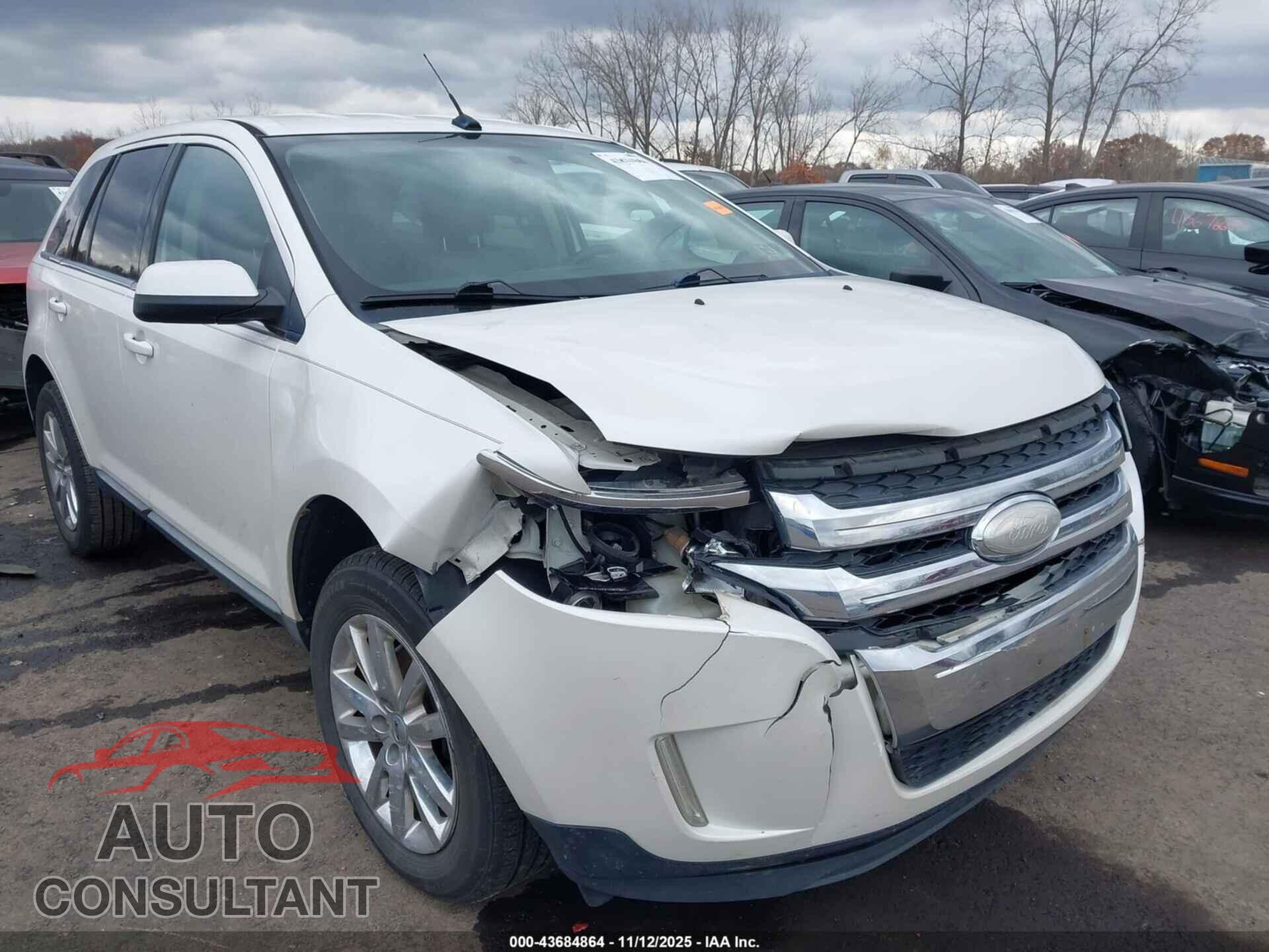 FORD EDGE 2011 - 2FMDK3KCXBBB26416