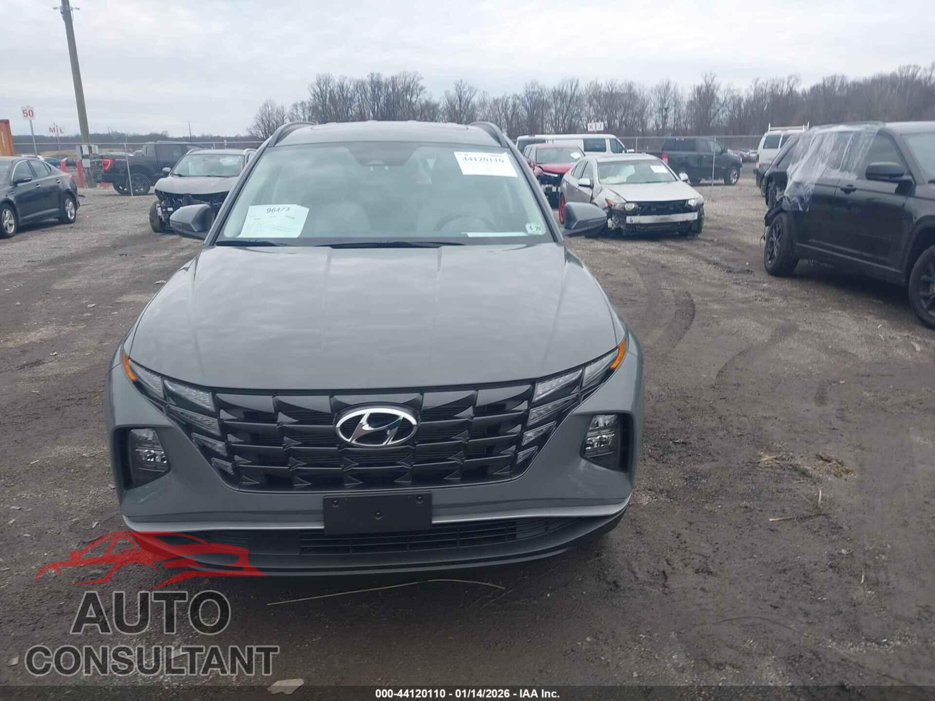 HYUNDAI TUCSON 2024 - 5NMJFCDE9RH395402