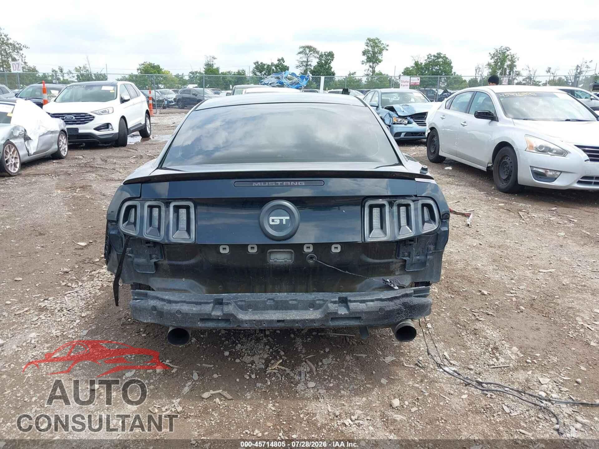 FORD MUSTANG 2011 - 1ZVBP8CF6B5110041