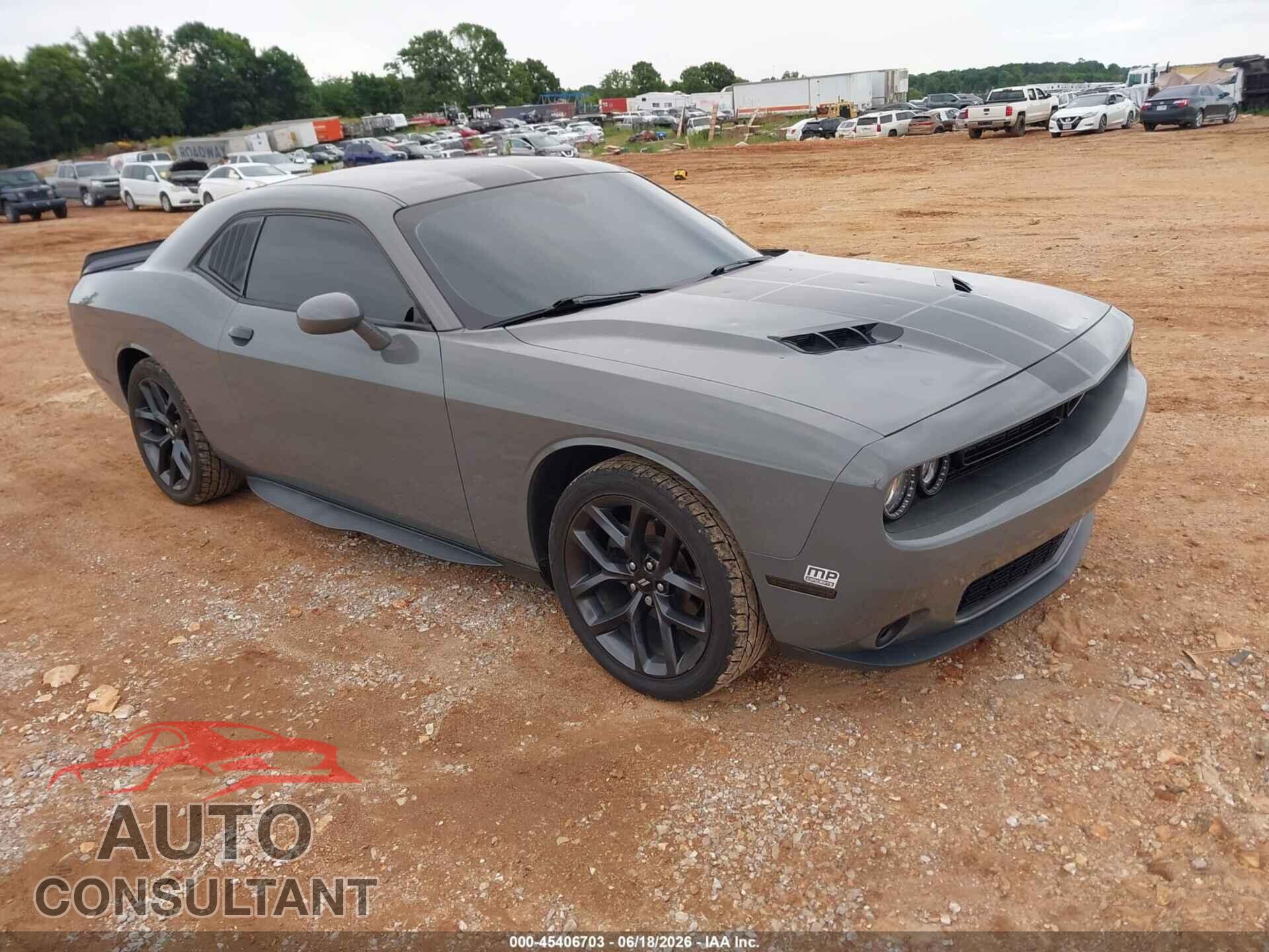 DODGE CHALLENGER 2019 - 2C3CDZAG2KH508717