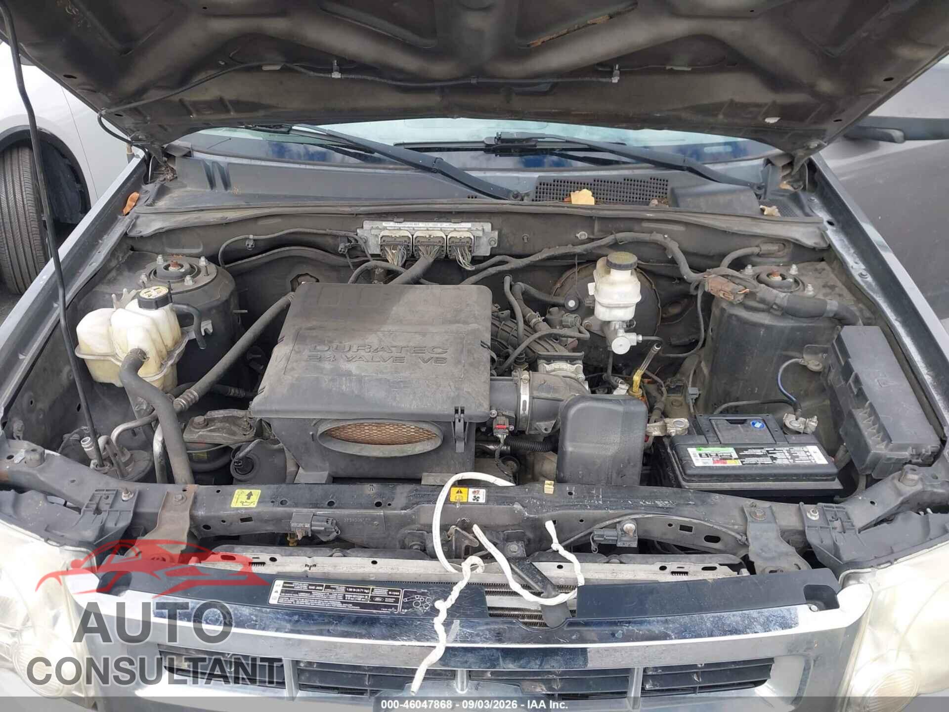 FORD ESCAPE 2011 - 1FMCU9DG0BKC65176