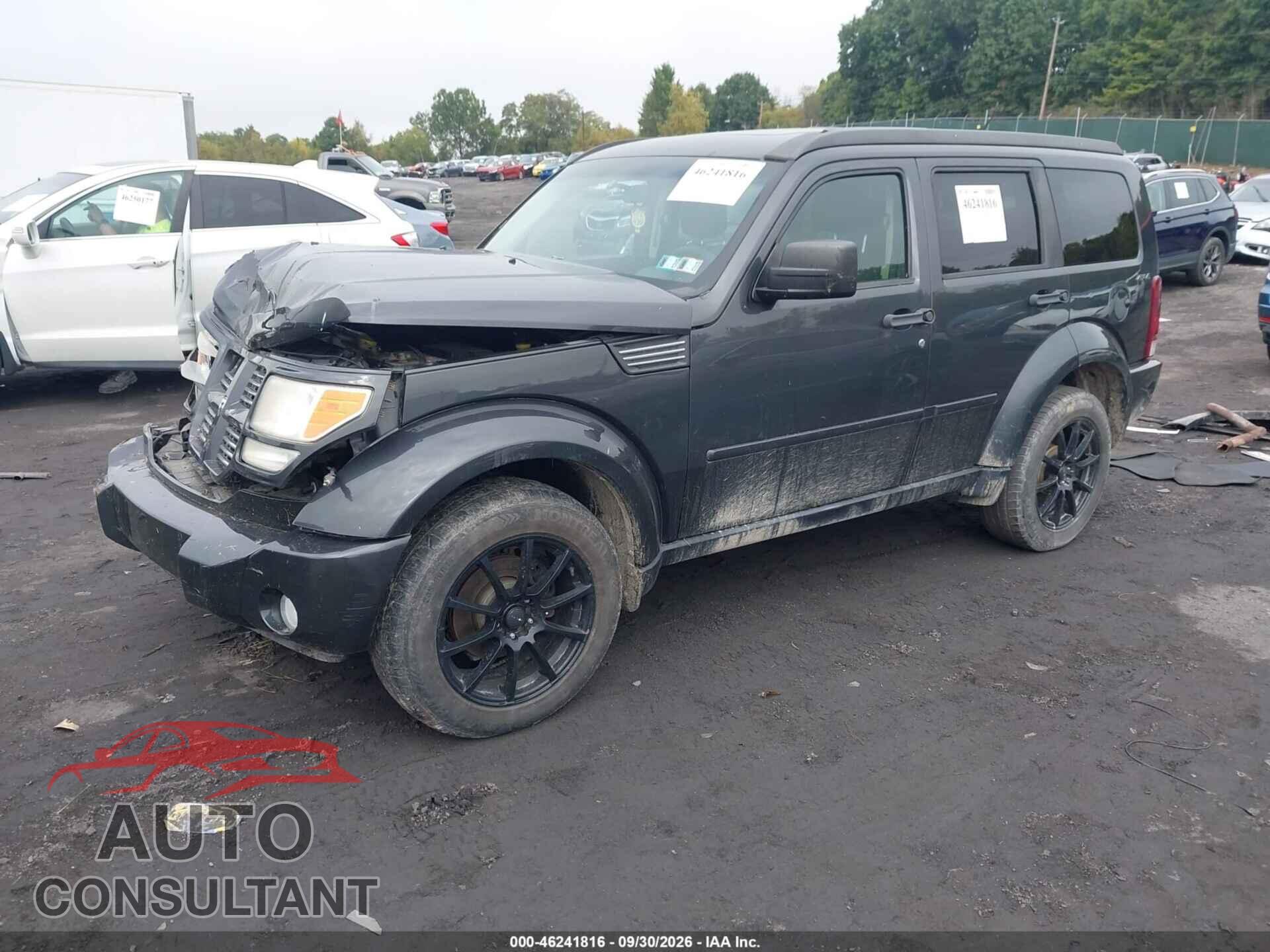 DODGE NITRO 2010 - 1D4PU4GK7AW175056