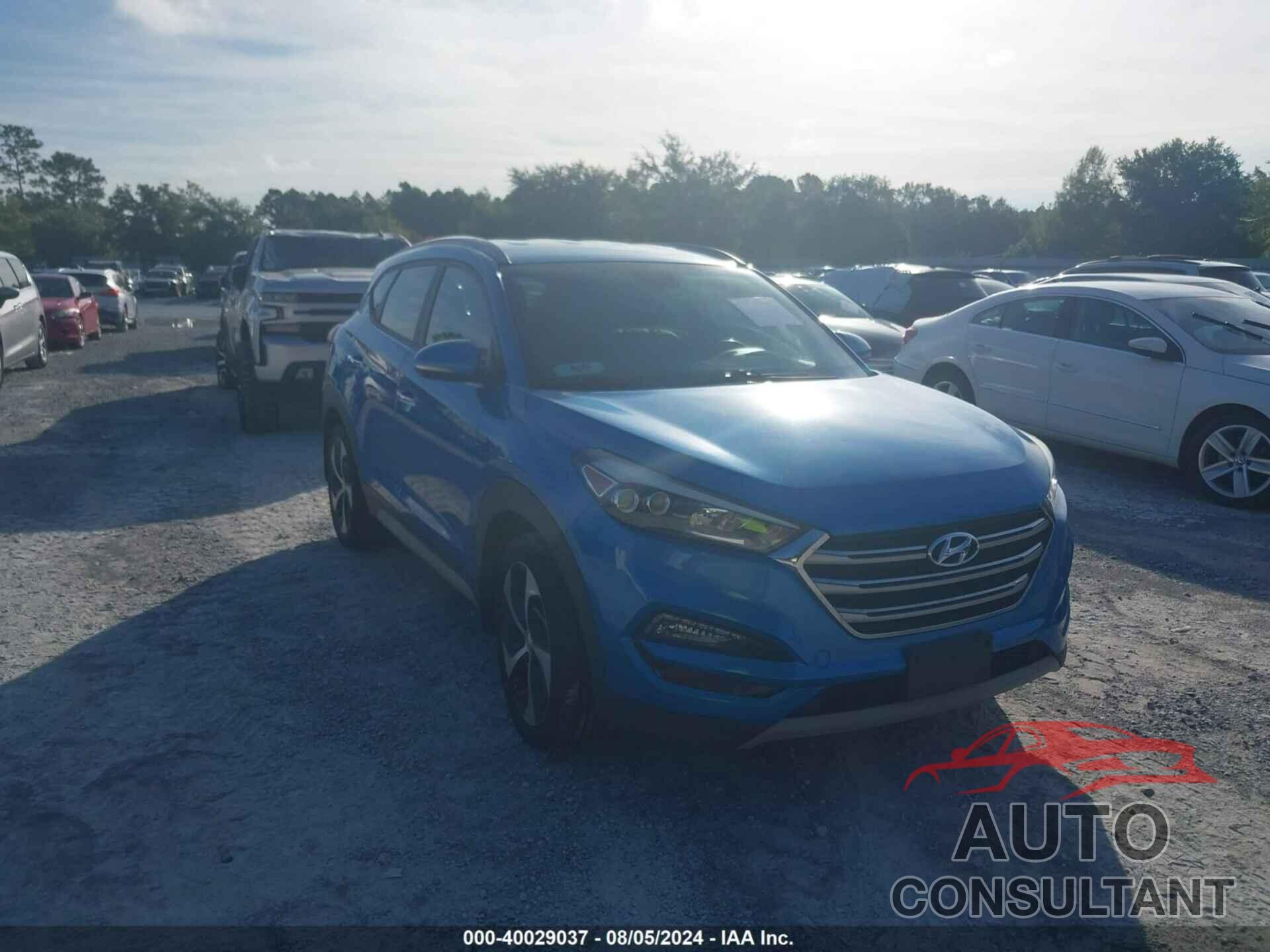 HYUNDAI TUCSON 2017 - KM8J33A25HU531580