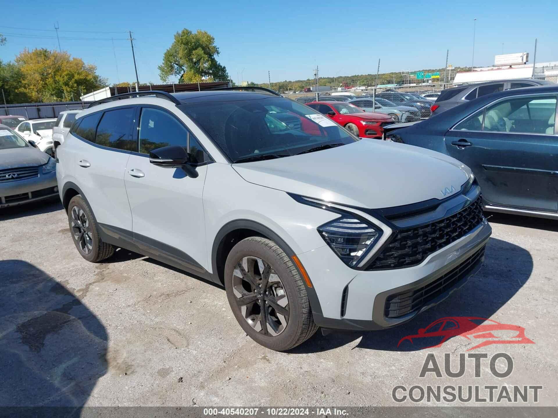 KIA SPORTAGE 2024 - 5XYK6CDF2RG218729