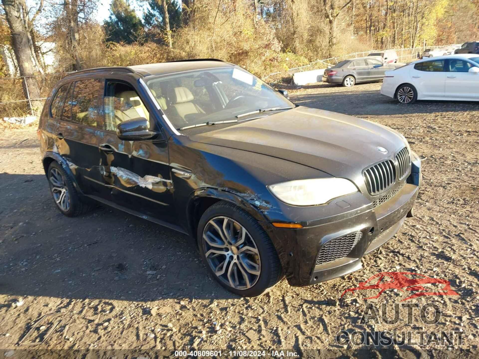 BMW X5 M 2013 - 5YMGY0C55DLL15645