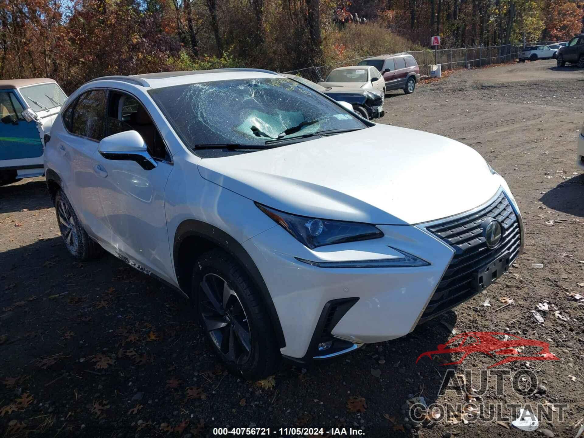 LEXUS NX 300 2019 - JTJBARBZ9K2199821