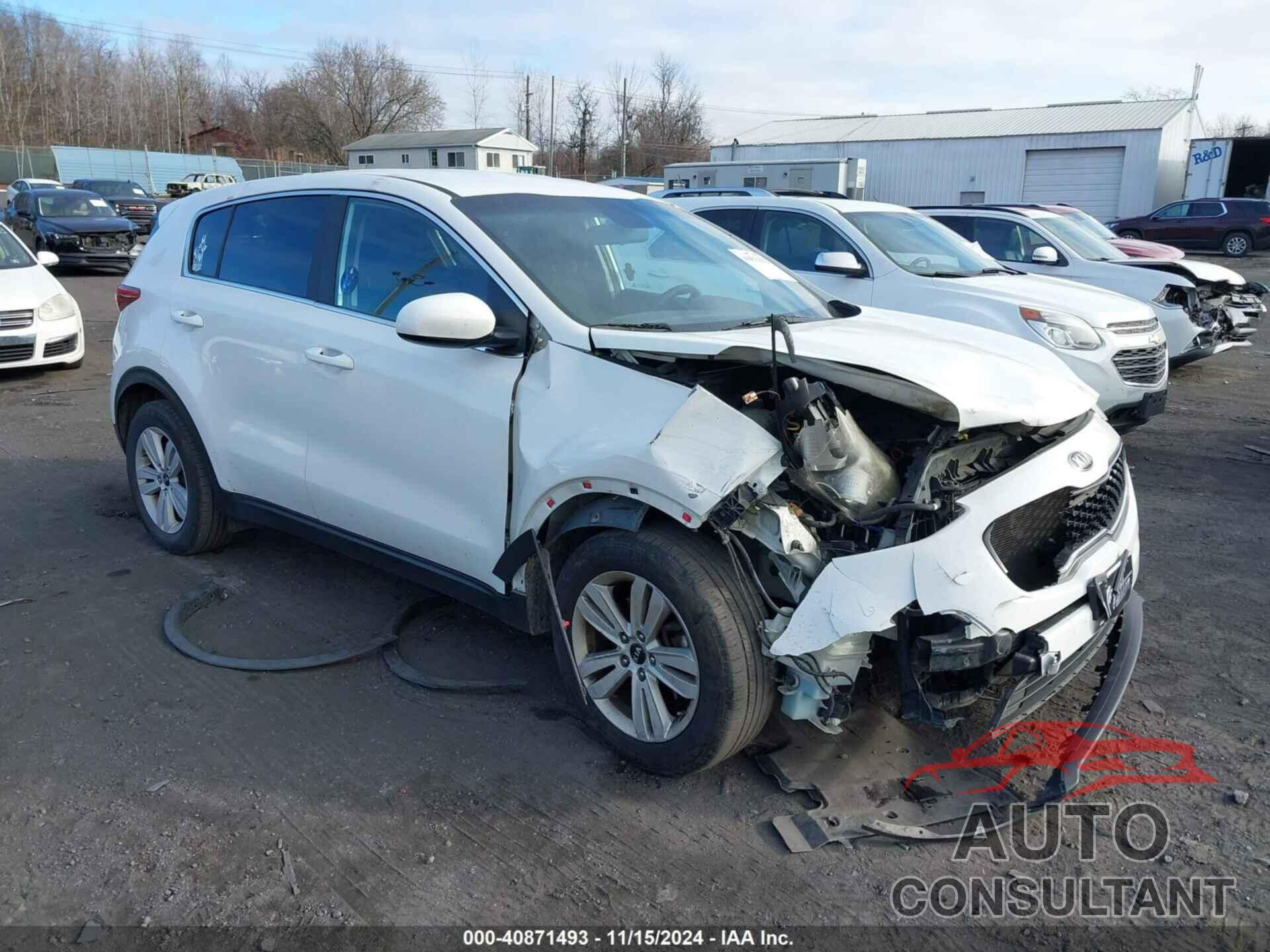 KIA SPORTAGE 2017 - KNDPM3AC1H7100351