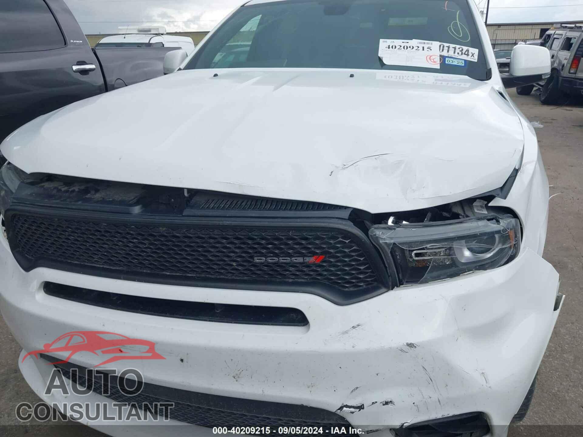 DODGE DURANGO 2019 - 1C4RDHDG0KC769147