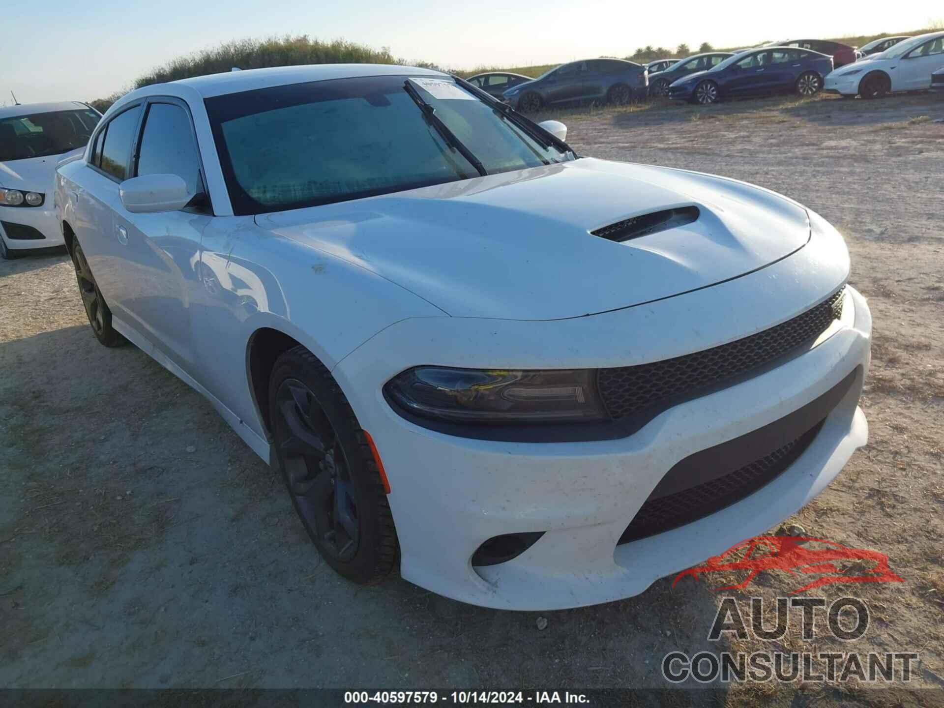 DODGE CHARGER 2019 - 2C3CDXHG6KH749528
