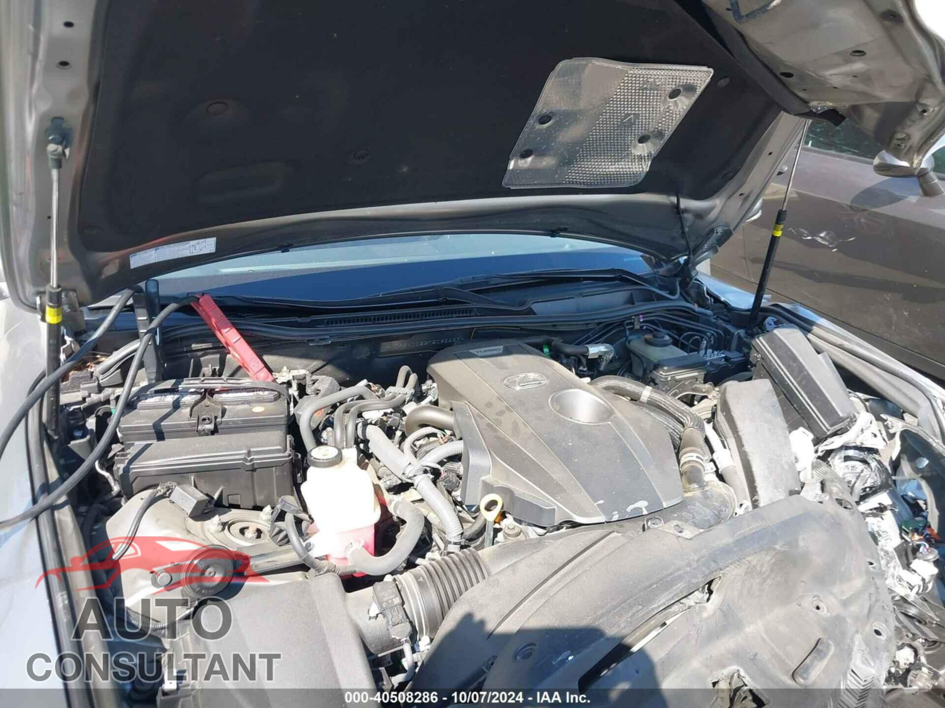 LEXUS IS 2019 - JTHBA1D22K5095558