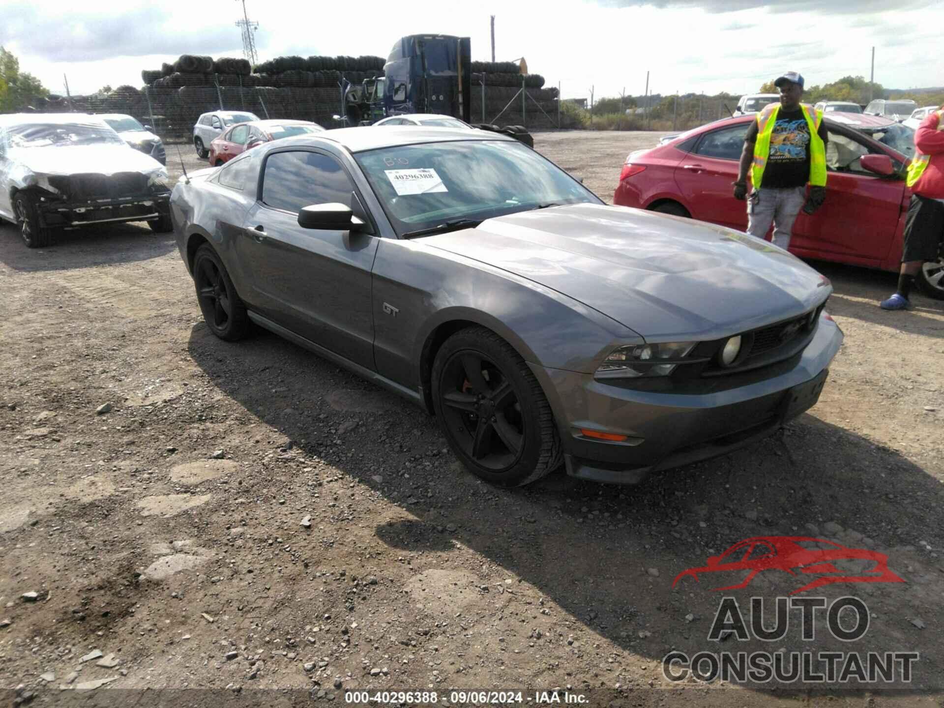 FORD MUSTANG 2010 - 1ZVBP8CH7A5120173