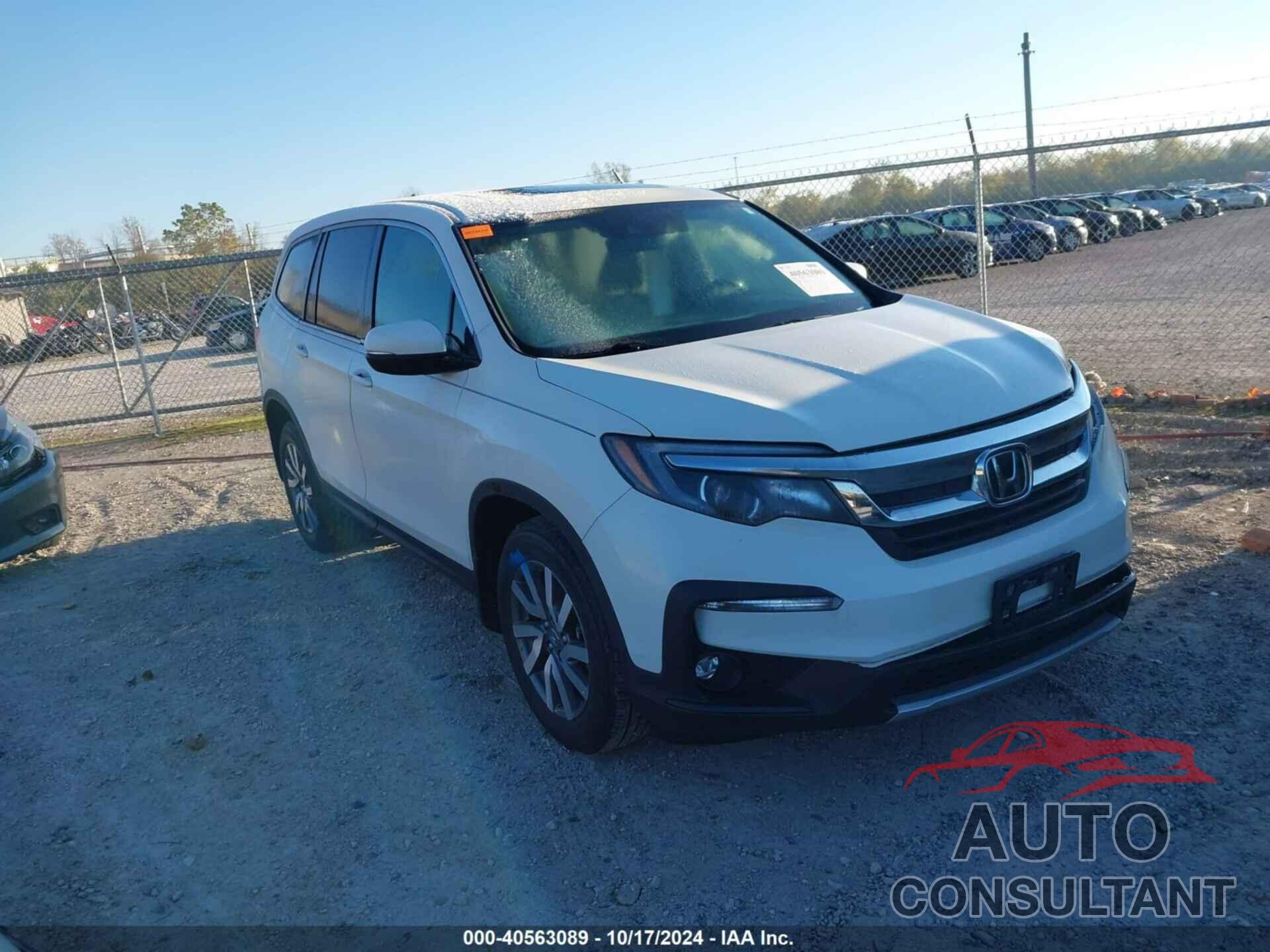 HONDA PILOT 2019 - 5FNYF6H53KB071914