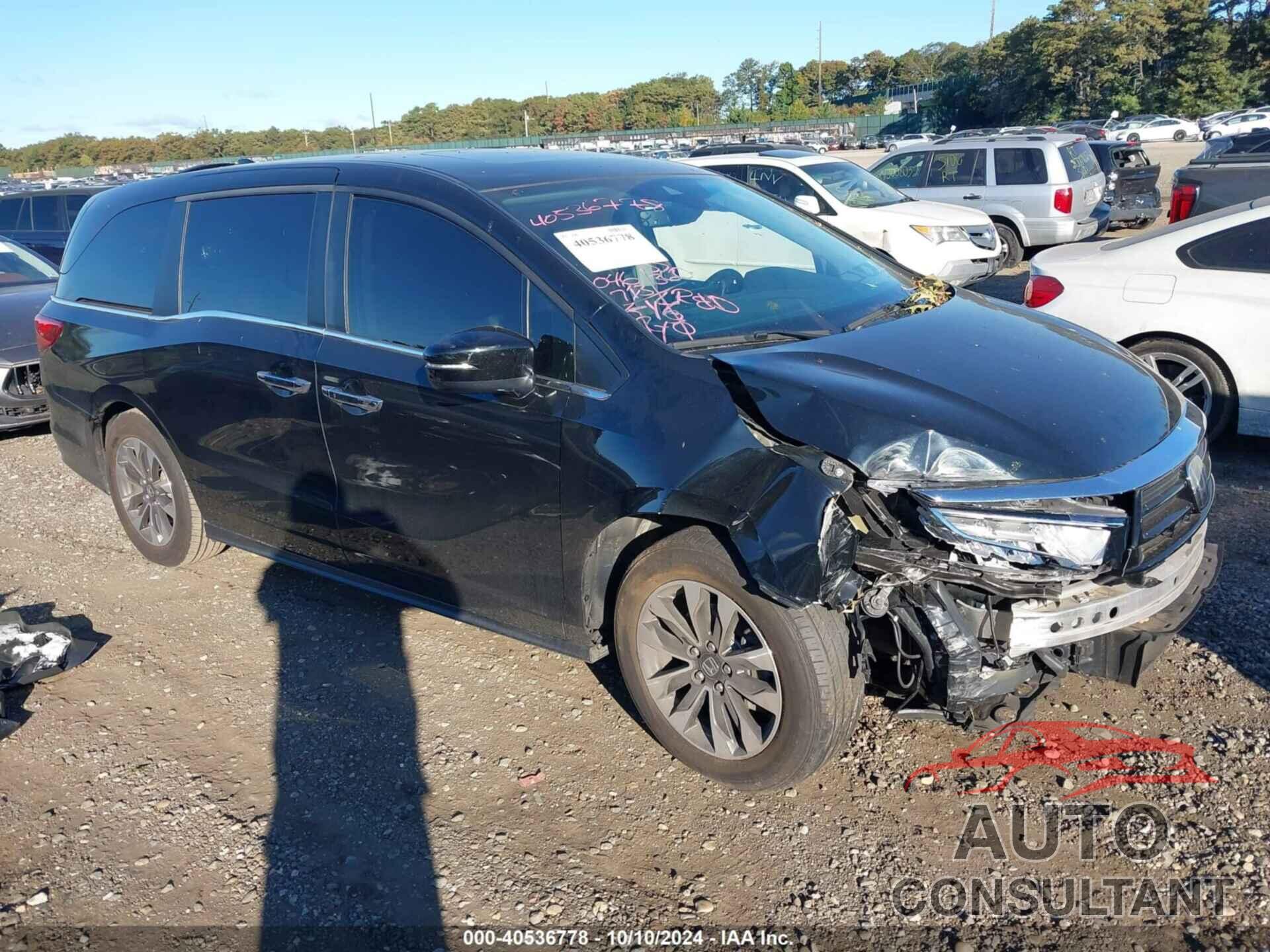 HONDA ODYSSEY 2021 - 5FNRL6H72MB013813