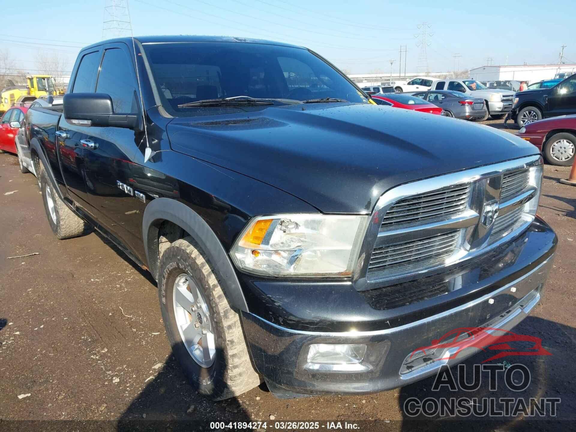 DODGE RAM 1500 2010 - 1D7RV1GT6AS222066