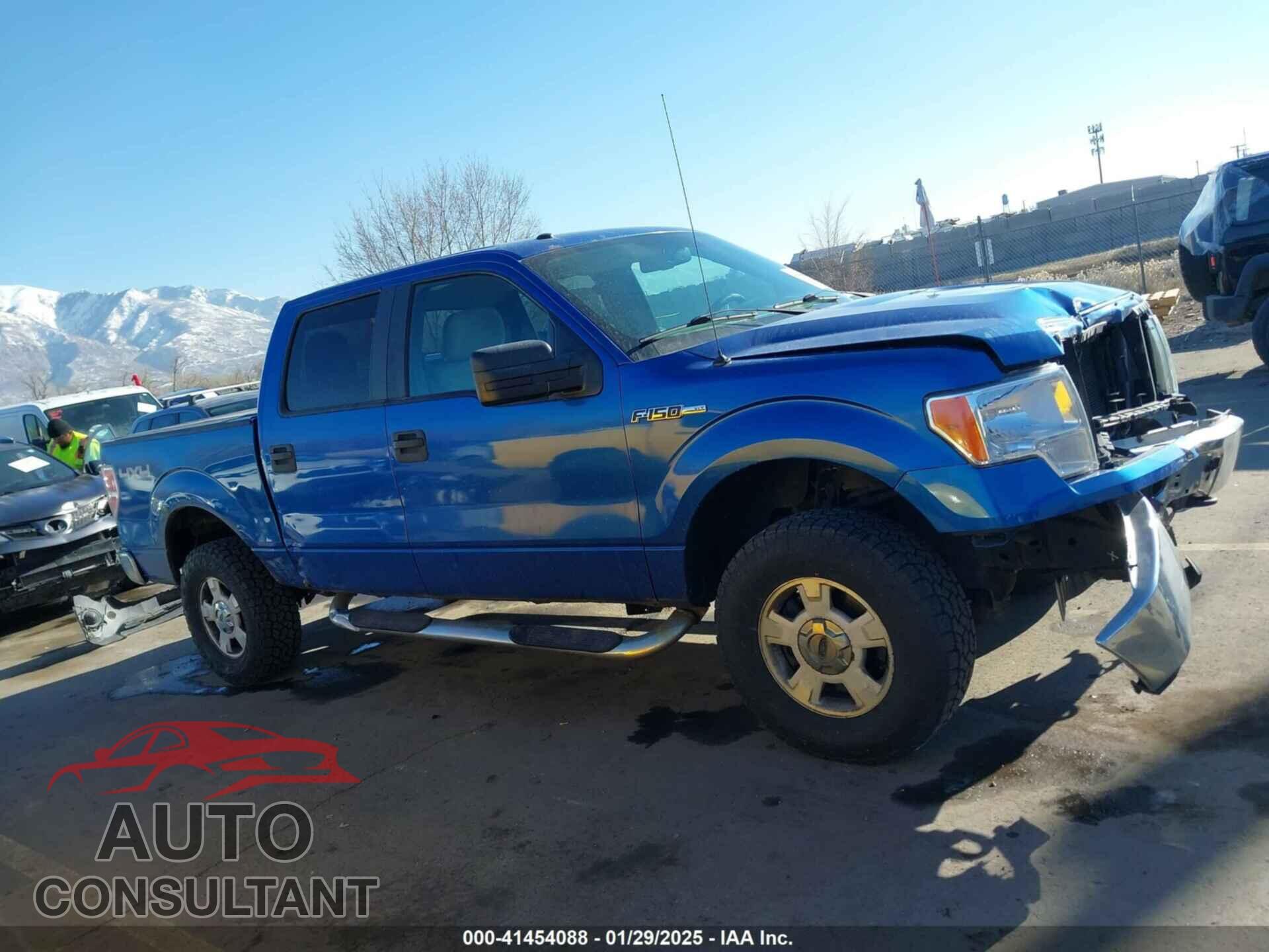 FORD F-150 2010 - 1FTEW1E87AFB51697