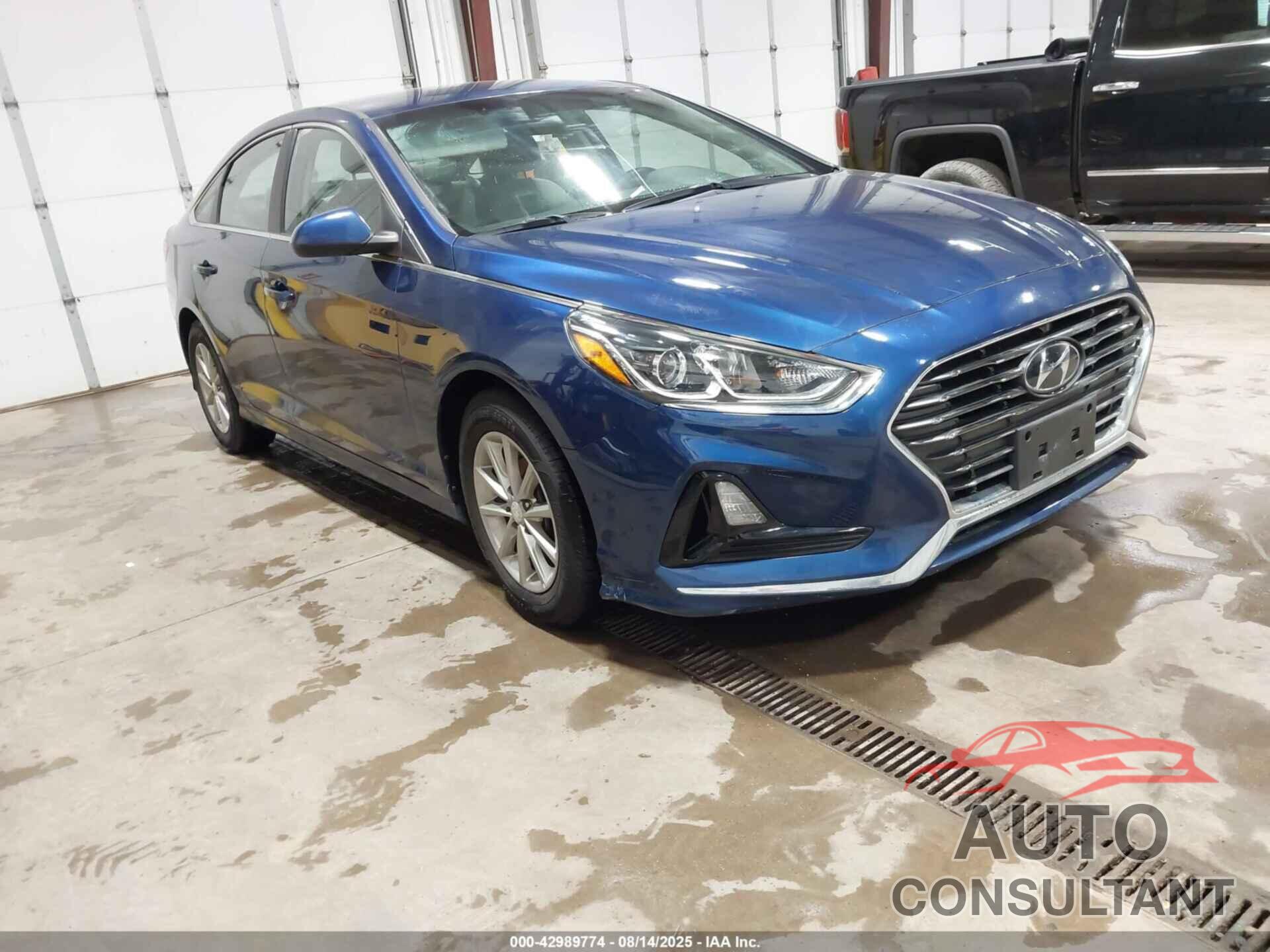HYUNDAI SONATA 2019 - 5NPE24AFXKH802152