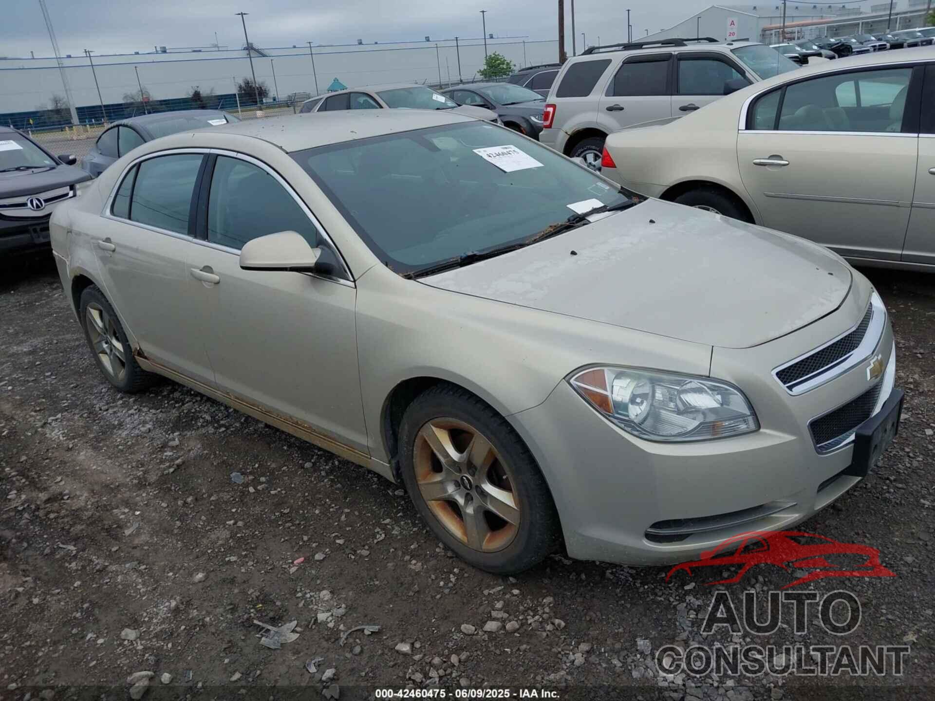 CHEVROLET MALIBU 2010 - 1G1ZC5EB2AF293462