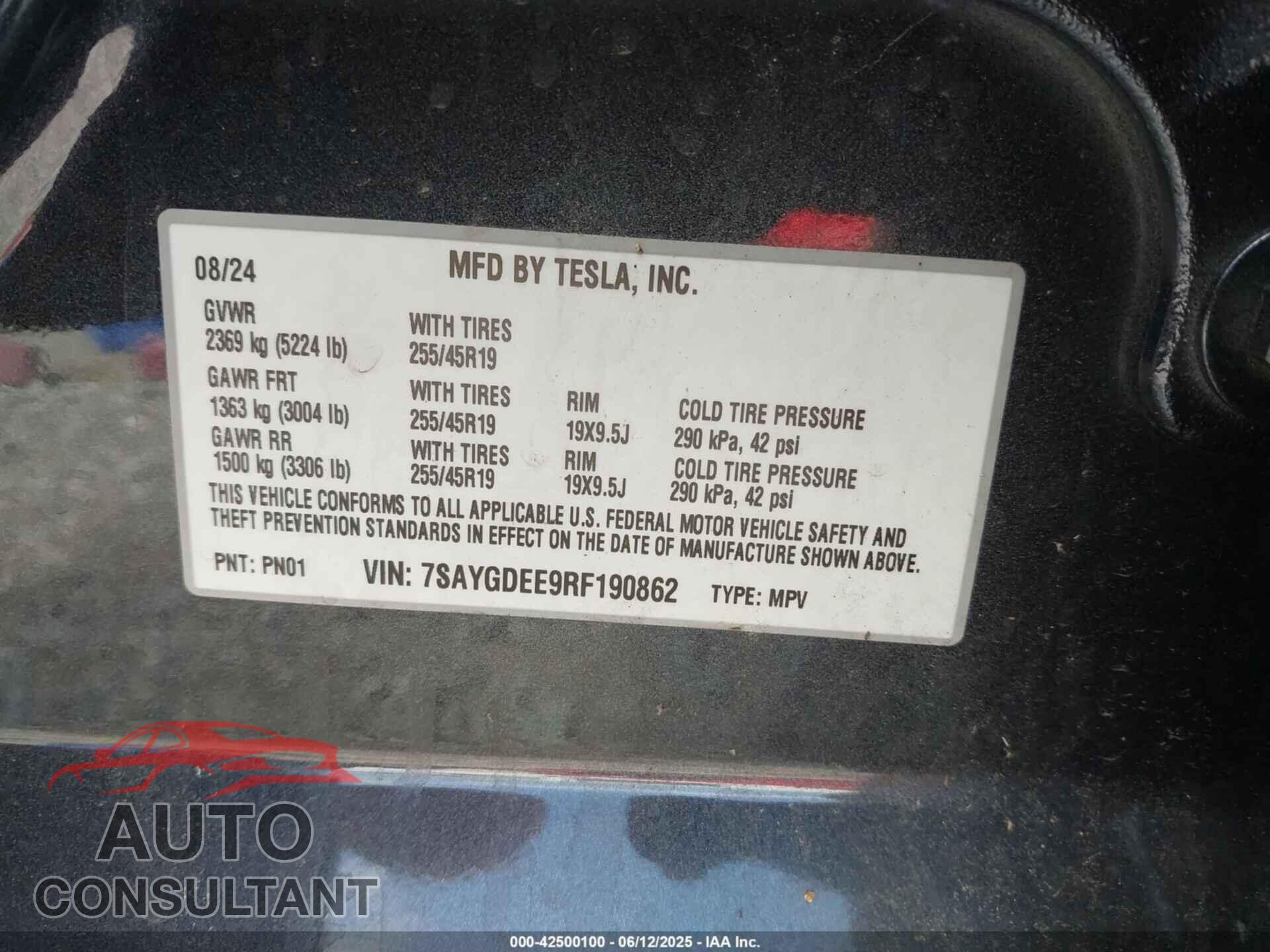 TESLA MODEL Y 2024 - 7SAYGDEE9RF190862