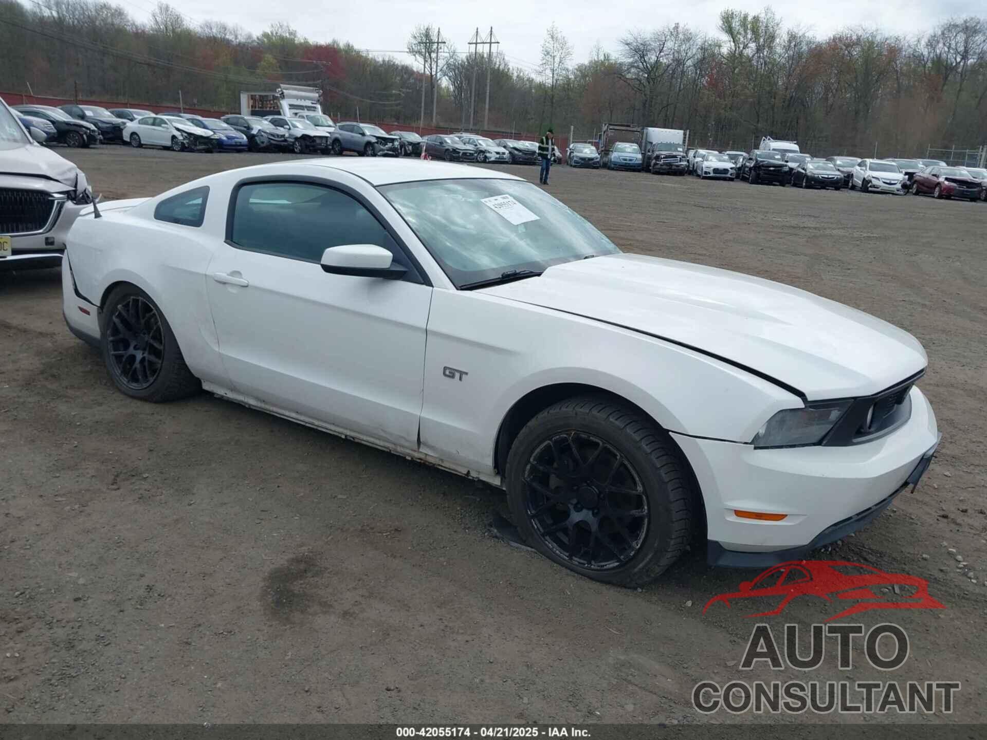 FORD MUSTANG 2010 - 1ZVBP8CH9A5123219
