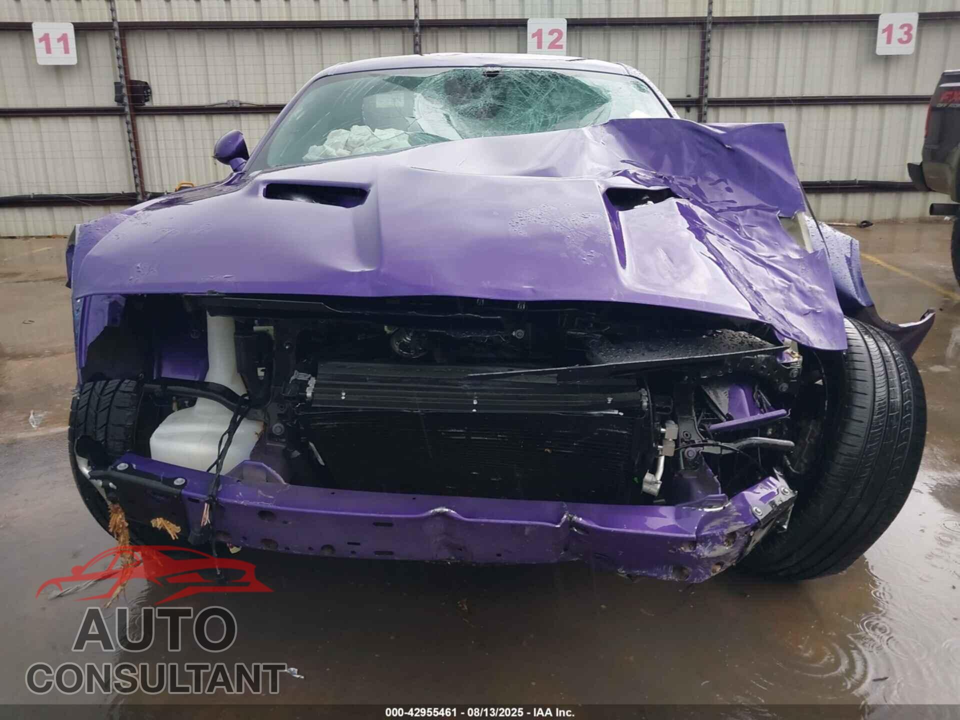DODGE CHALLENGER 2023 - 2C3CDZGG1PH597601