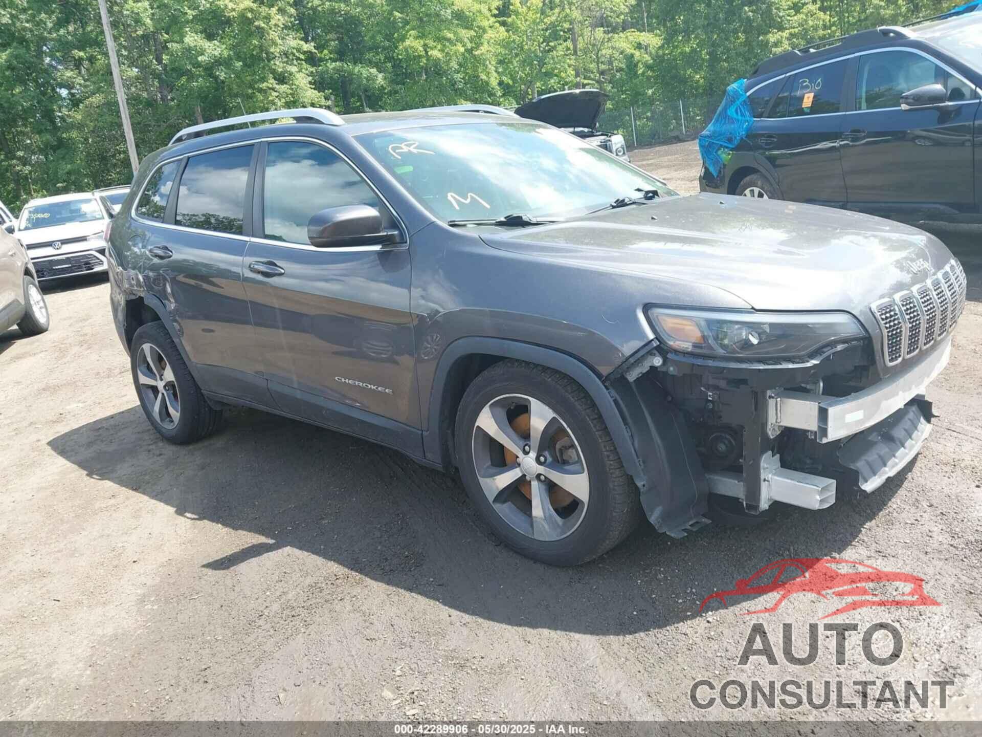 JEEP CHEROKEE 2019 - 1C4PJLDB5KD380988