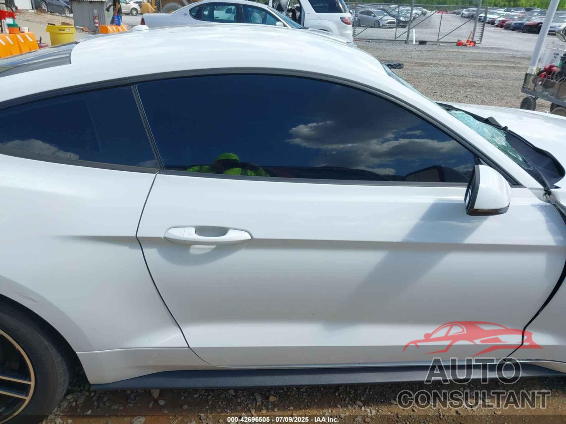 FORD MUSTANG 2019 - 1FA6P8CF0K5186381