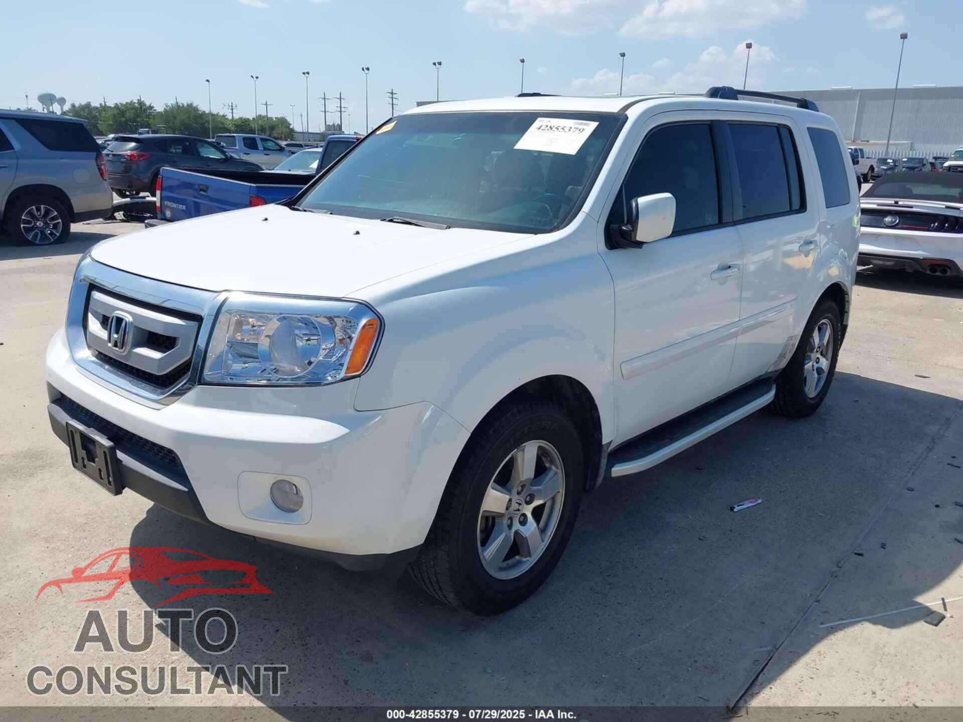 HONDA PILOT 2009 - 5FNYF38539B019014