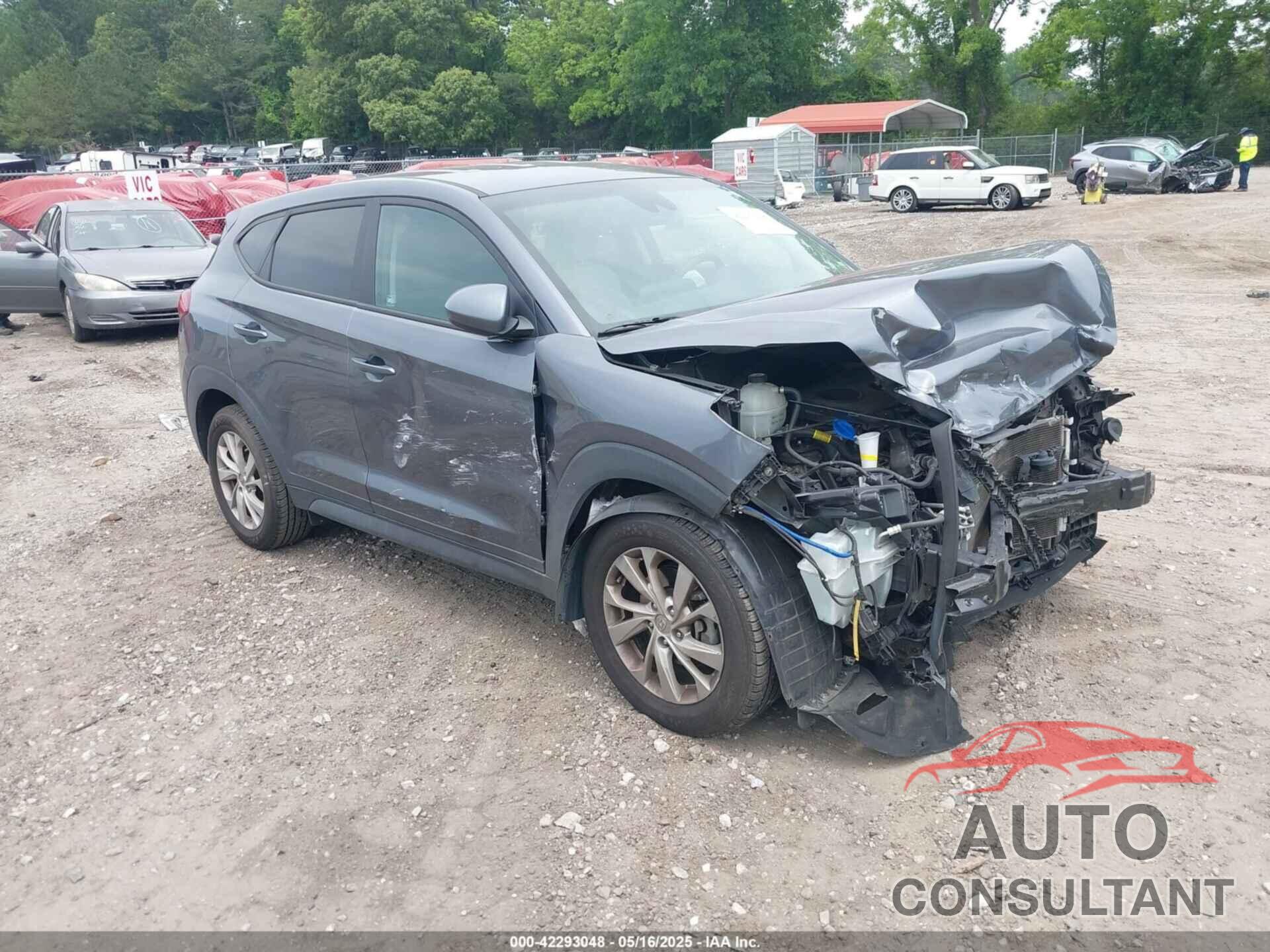 HYUNDAI TUCSON 2019 - KM8J23A48KU843713