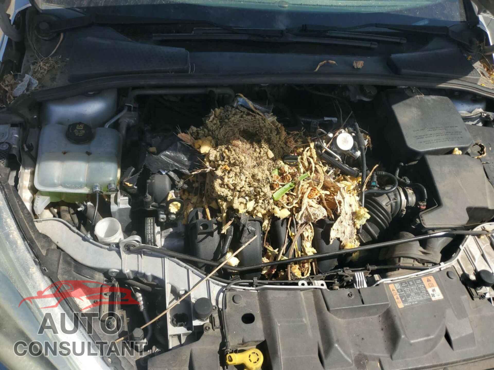 FORD FOCUS 2016 - 1FADP3E26GL366262
