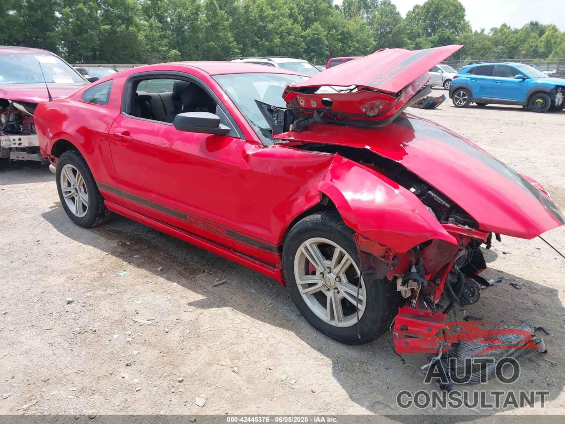 FORD MUSTANG 2013 - 1ZVBP8AMXD5238478