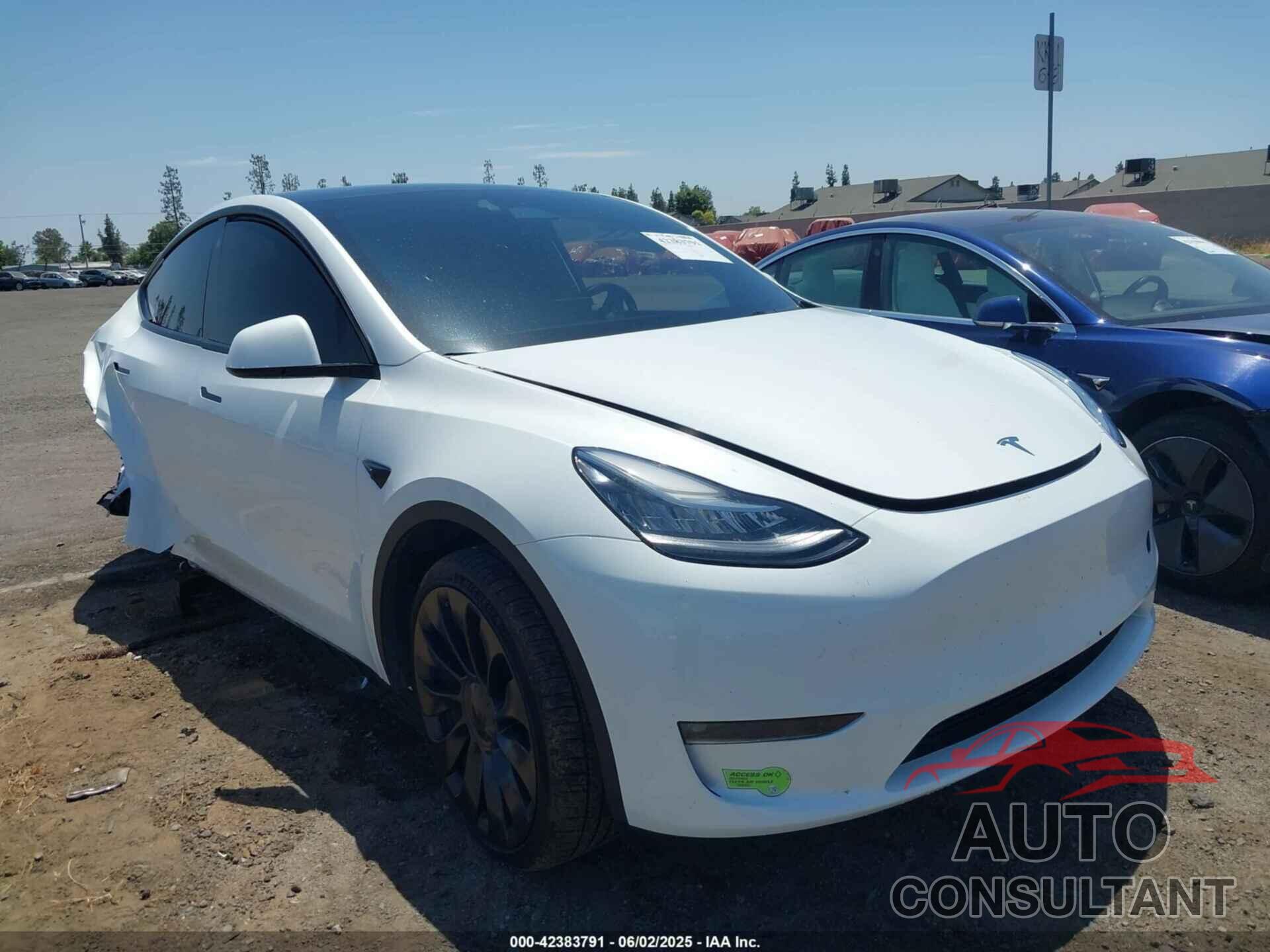 TESLA MODEL Y 2023 - 7SAYGAEE6PF610721