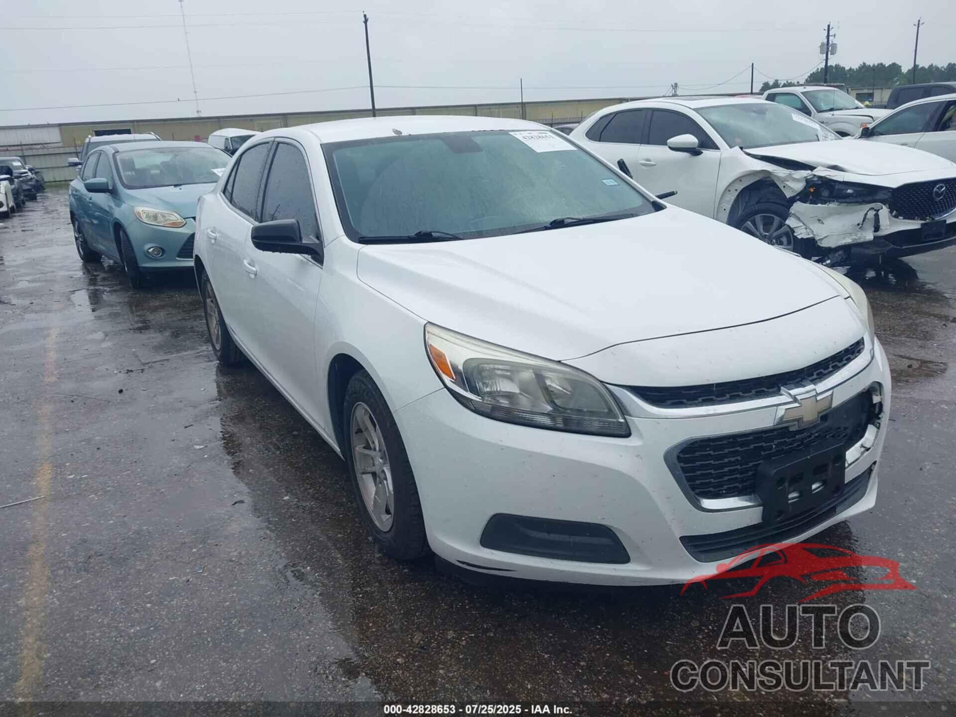 CHEVROLET MALIBU LIMITED 2016 - 1G11B5SA3GF121722