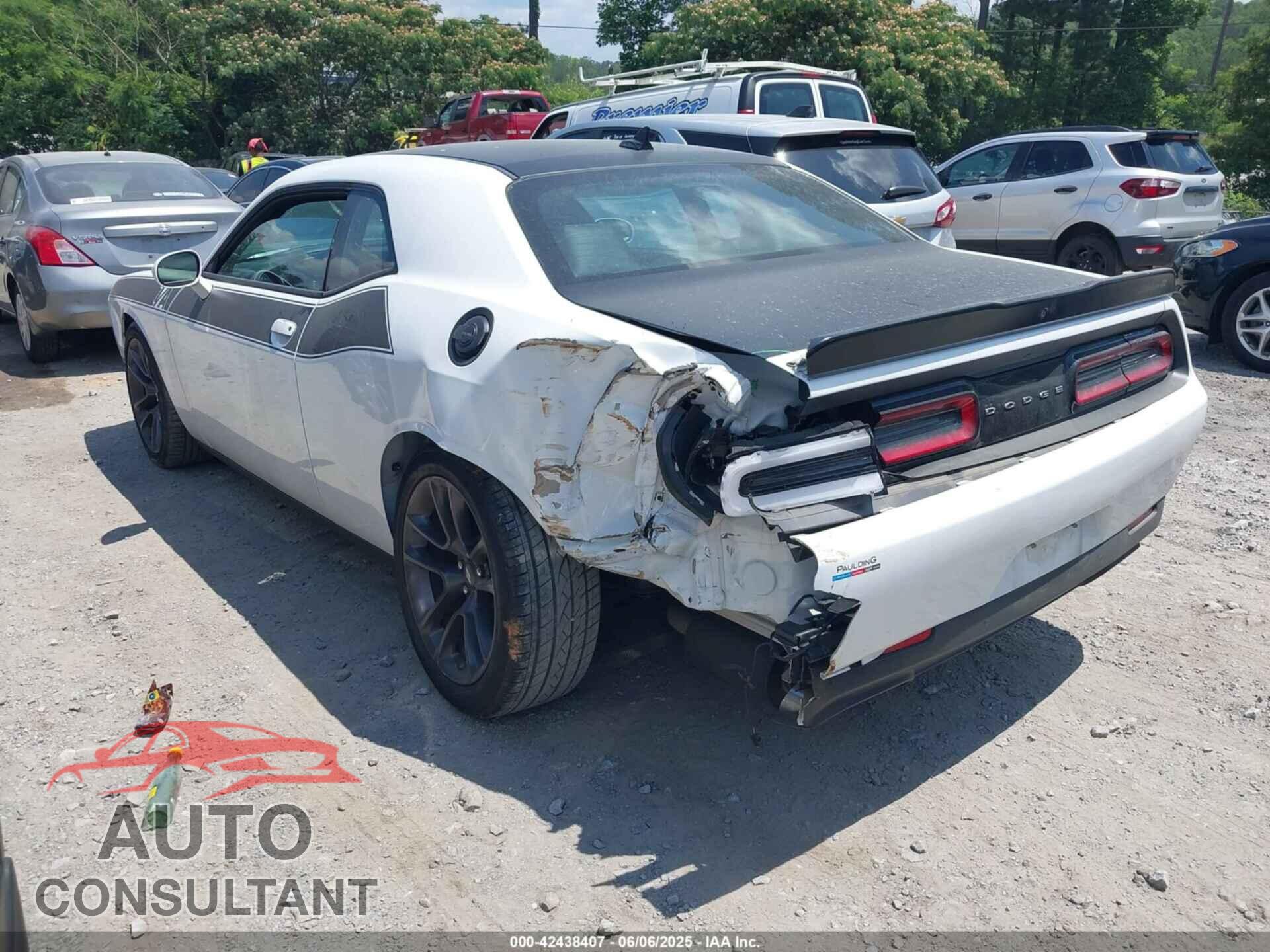 DODGE CHALLENGER 2023 - 2C3CDZBTXPH669206