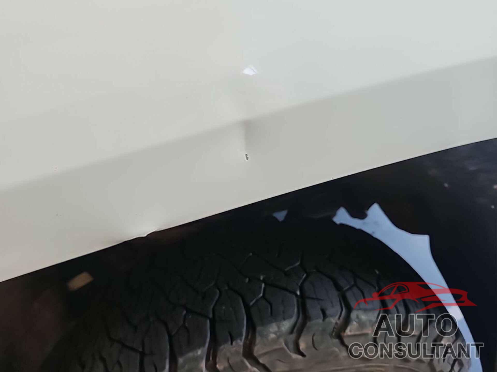 CHEVROLET SILVERADO 2019 - 2GC2KSEG3K1240722