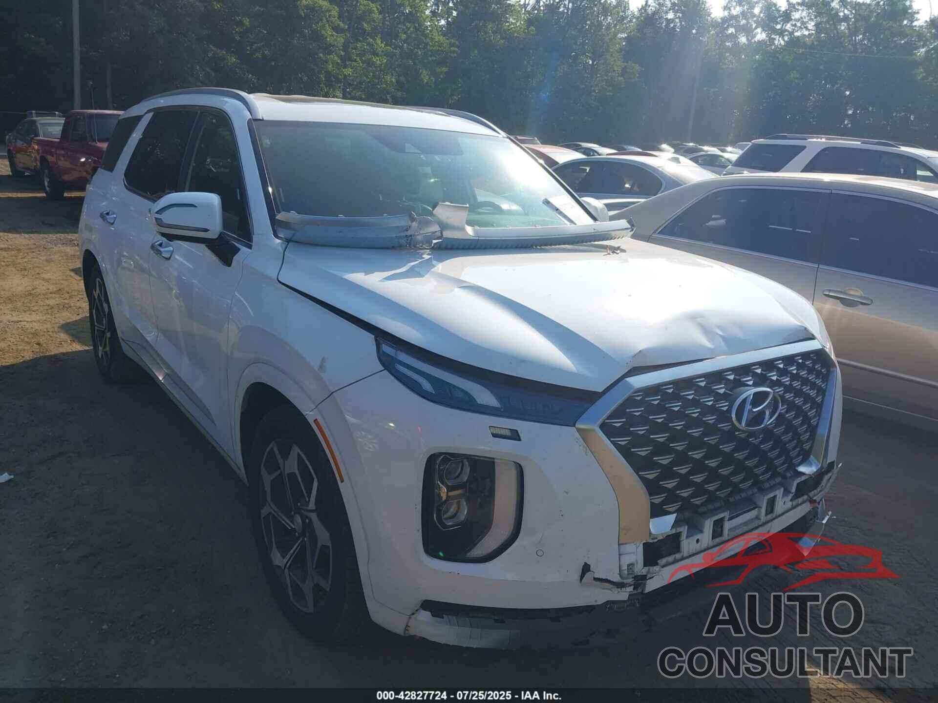HYUNDAI PALISADE 2021 - KM8R7DHE6MU261637