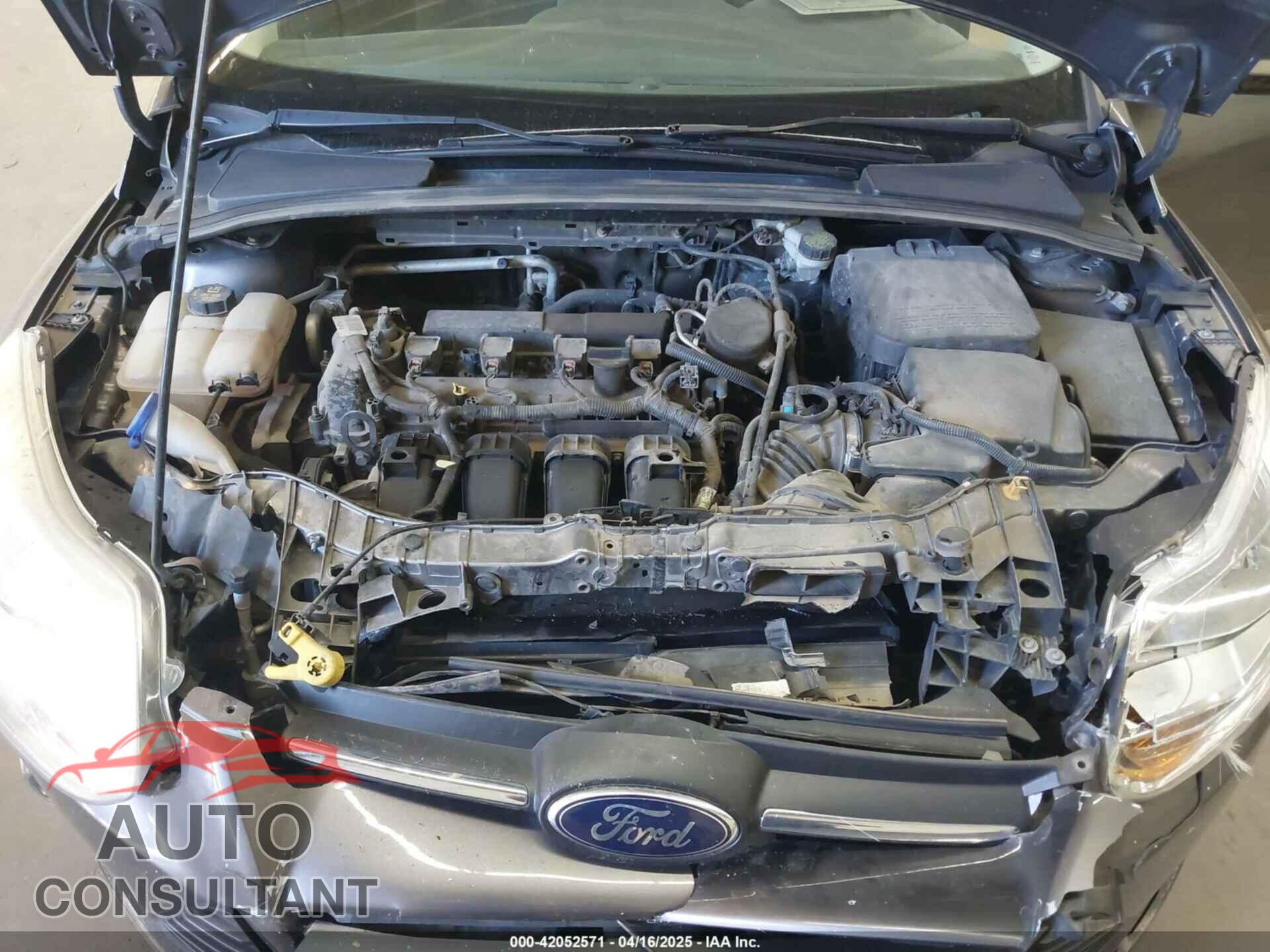FORD FOCUS 2014 - 1FADP3F21EL299940