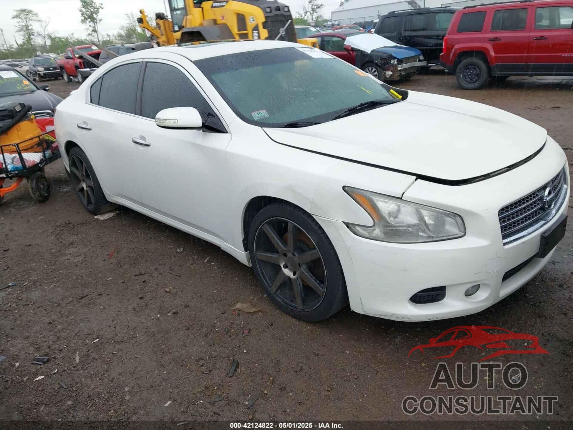 NISSAN MAXIMA 2010 - 1N4AA5AP0AC821146