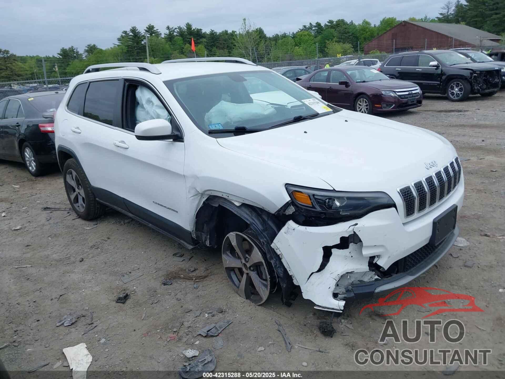 JEEP CHEROKEE 2019 - 1C4PJMDN1KD251257