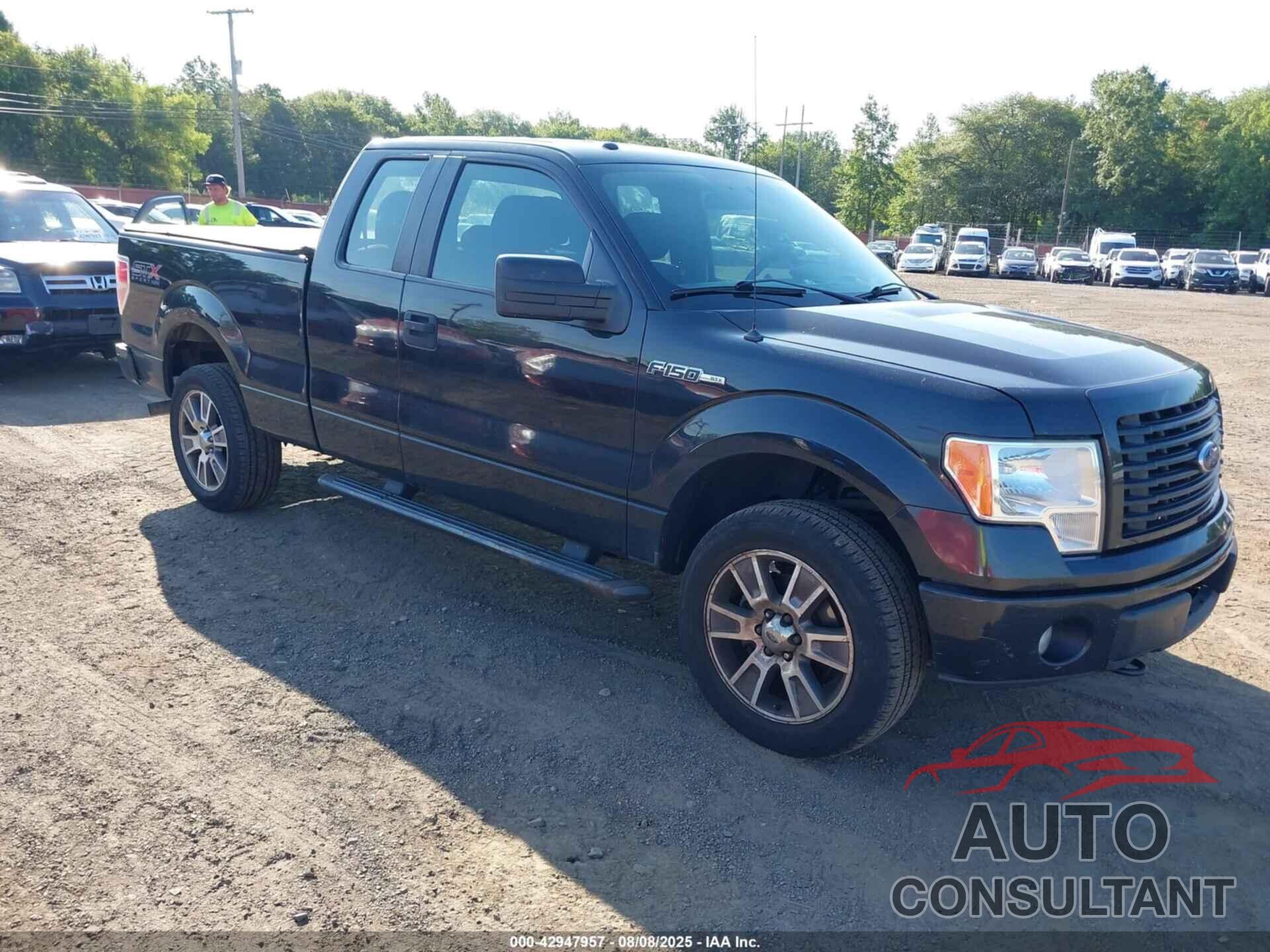 FORD F-150 2014 - 1FTFX1EFXEFC81172