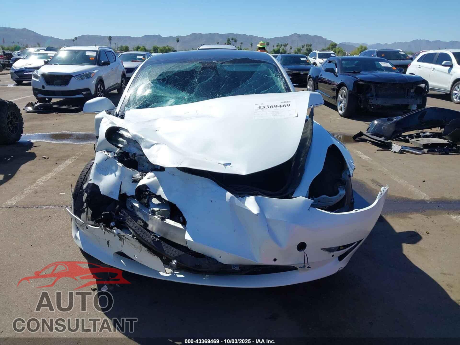 TESLA MODEL 3 2020 - 5YJ3E1EA5LF804029