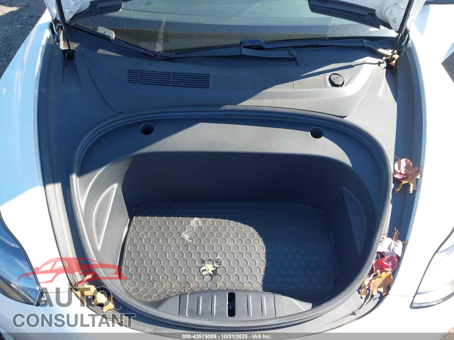 TESLA MODEL 3 2021 - 5YJ3E1EA2MF046412