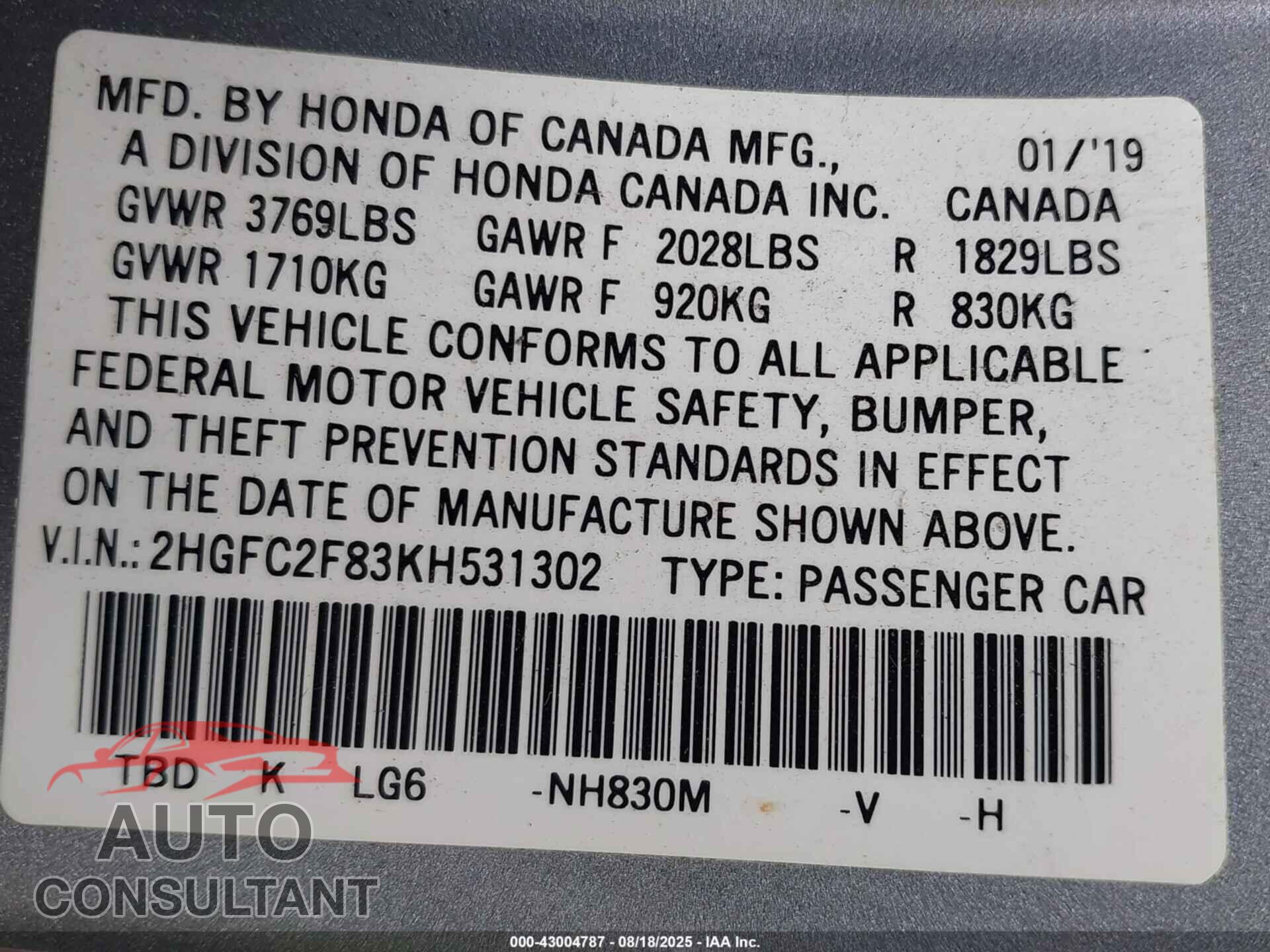 HONDA CIVIC 2019 - 2HGFC2F83KH531302