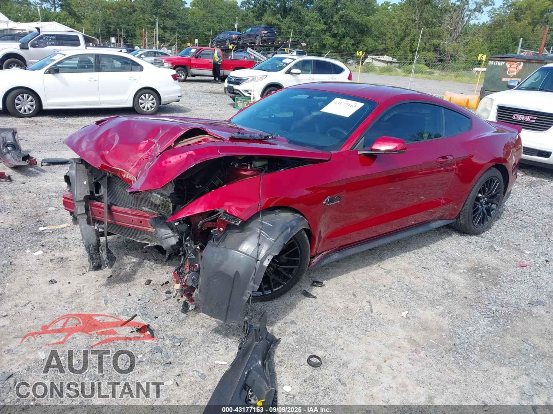 FORD MUSTANG 2015 - 1FA6P8CF7F5382419