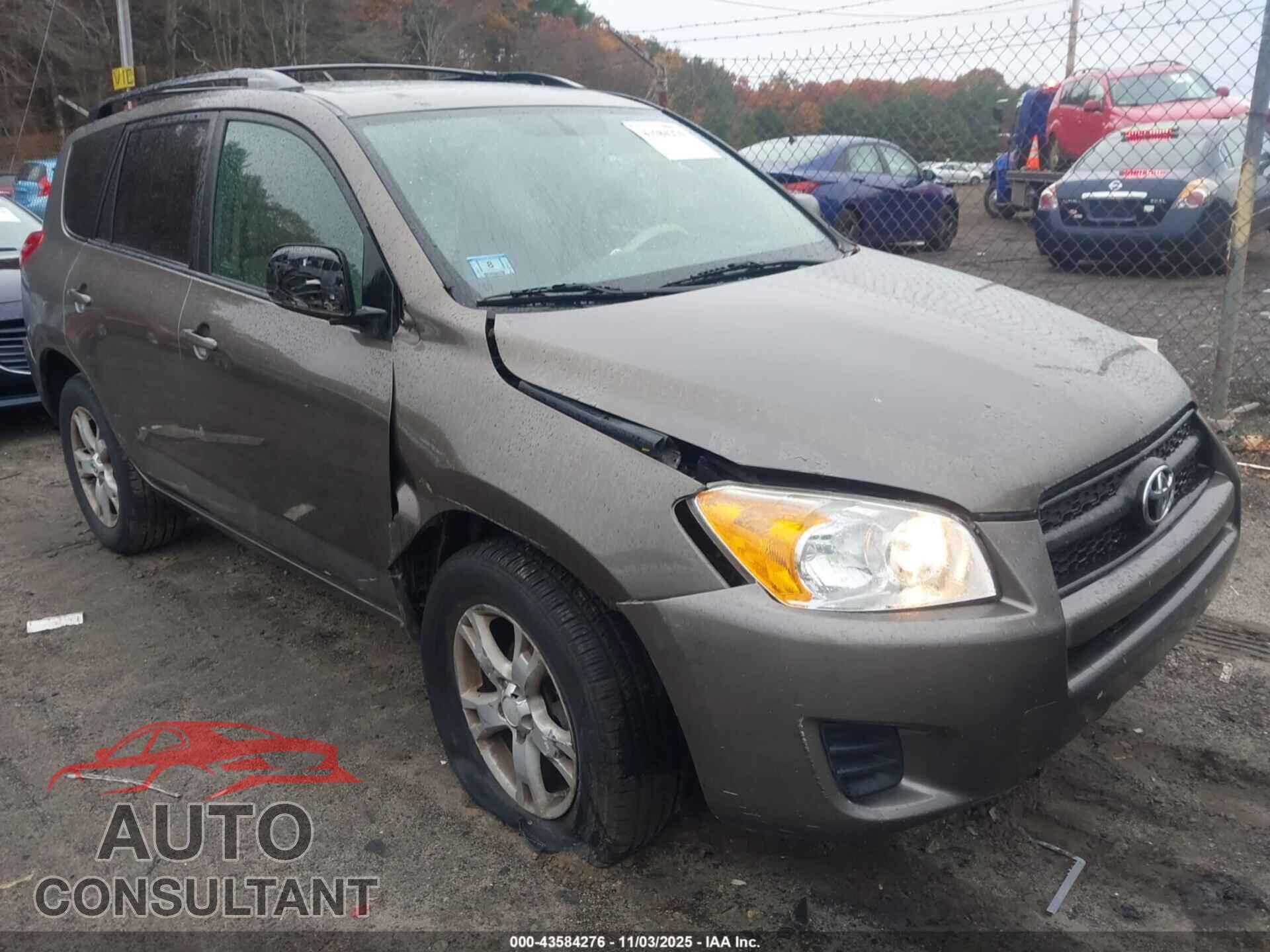 TOYOTA RAV4 2011 - 2T3BF4DV8BW176507